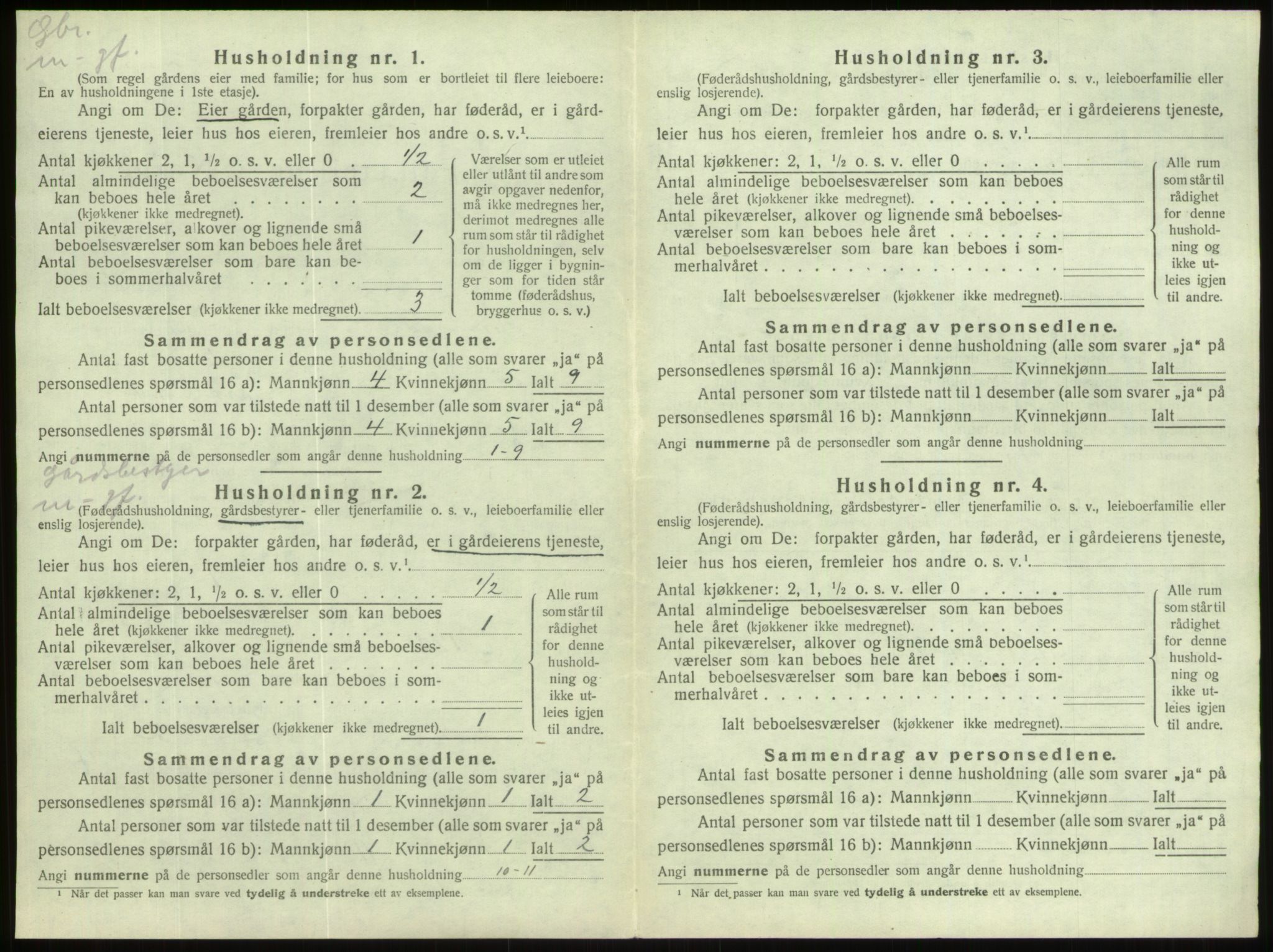 SAB, 1920 census for Hornindal, 1920, p. 420