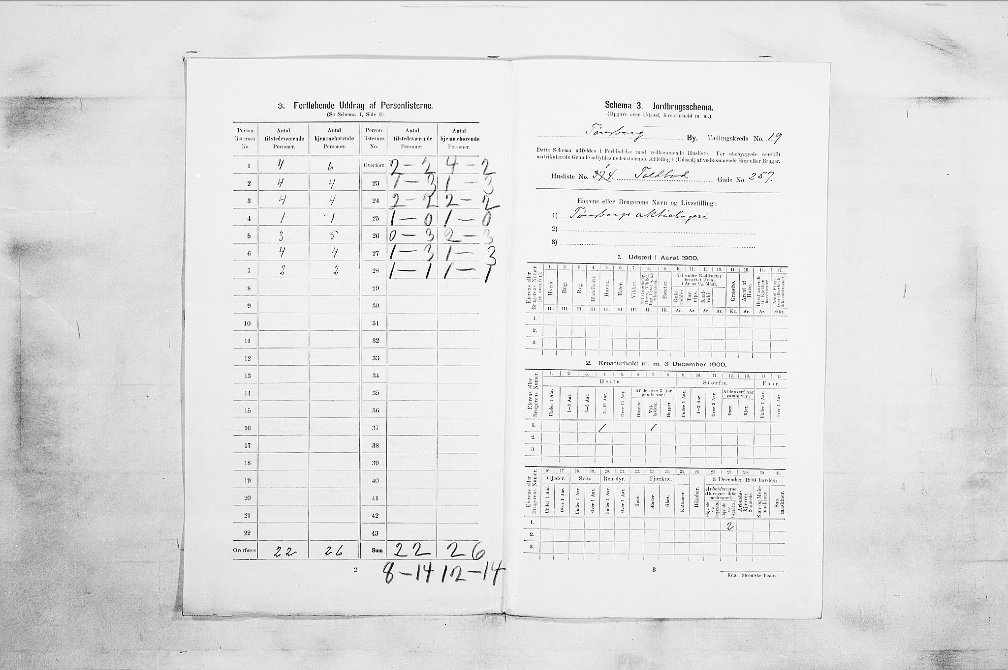 RA, 1900 census for Tønsberg, 1900, p. 3014