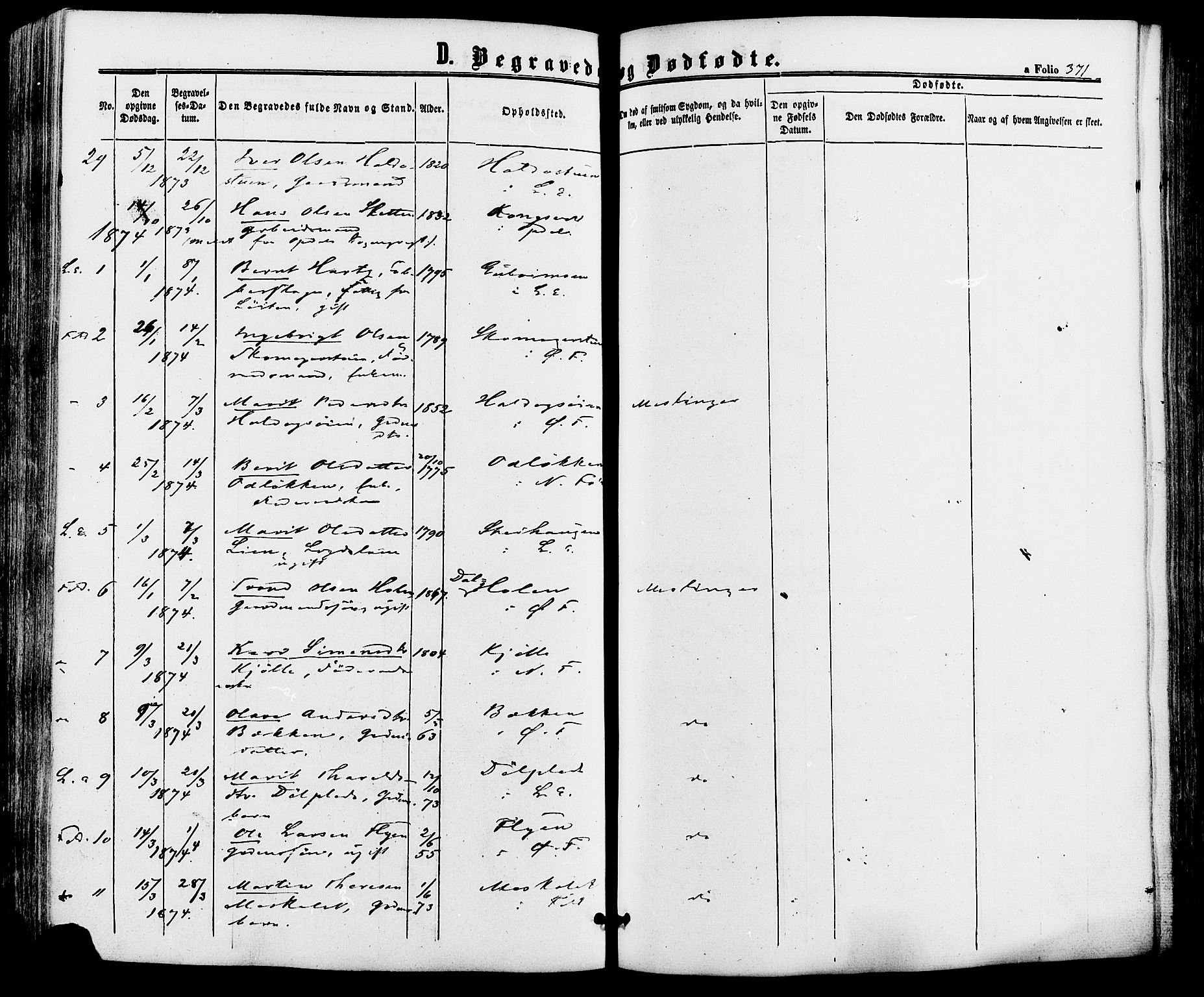 Alvdal prestekontor, AV/SAH-PREST-060/H/Ha/Haa/L0001: Parish register (official) no. 1, 1863-1882, p. 371