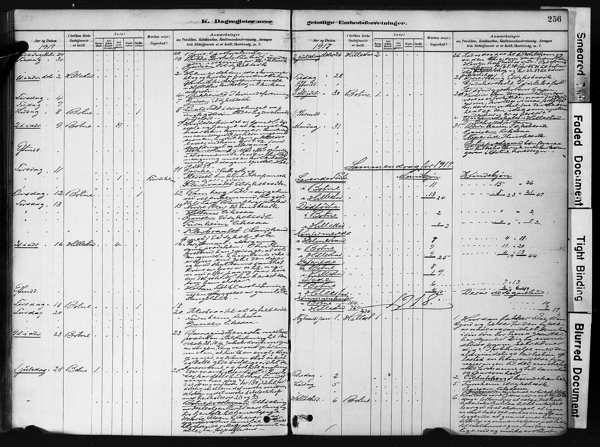 Botne kirkebøker, AV/SAKO-A-340/F/Fb/L0001: Parish register (official) no. II 1, 1878-1902, p. 256