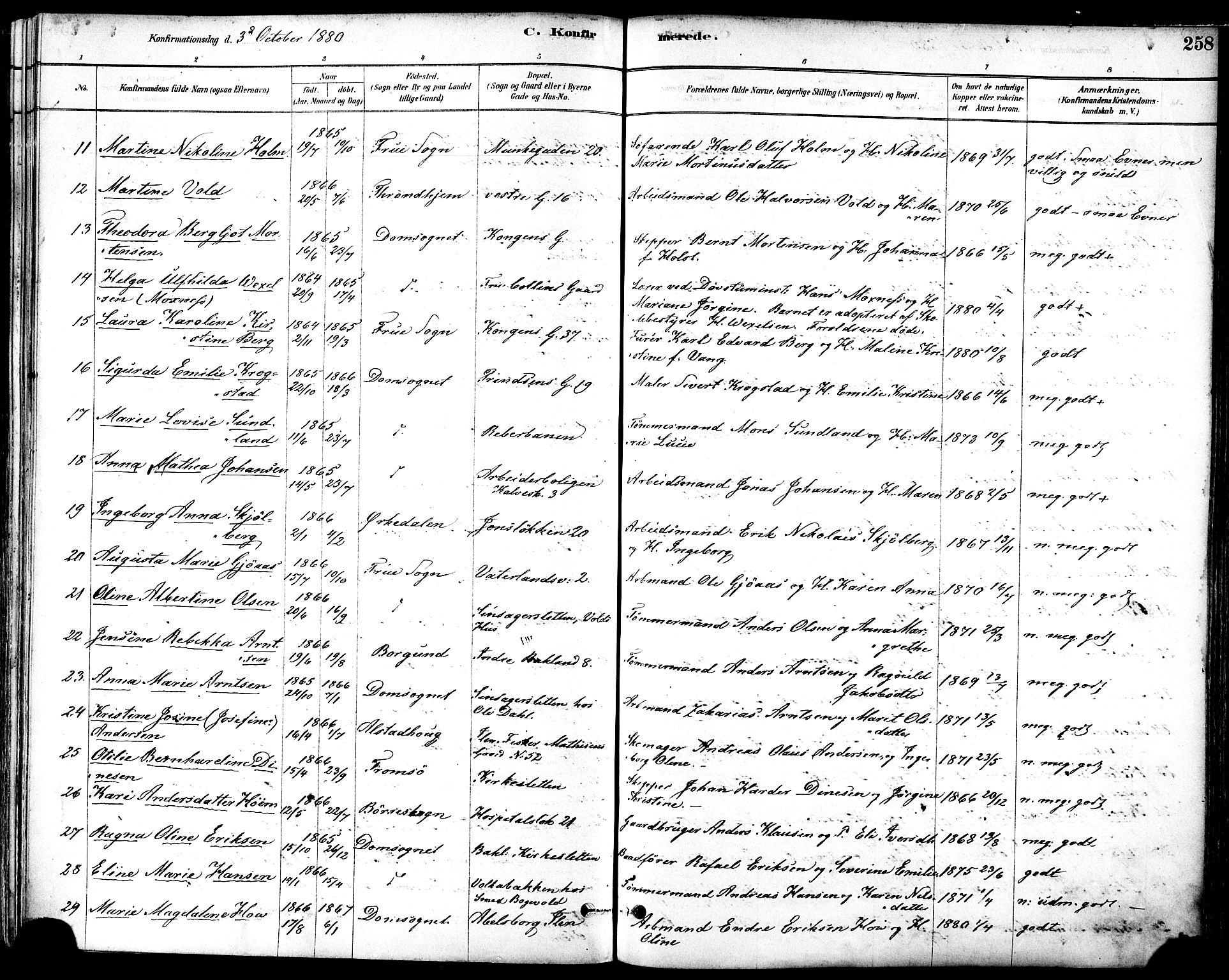 Ministerialprotokoller, klokkerbøker og fødselsregistre - Sør-Trøndelag, SAT/A-1456/601/L0057: Parish register (official) no. 601A25, 1877-1891, p. 258