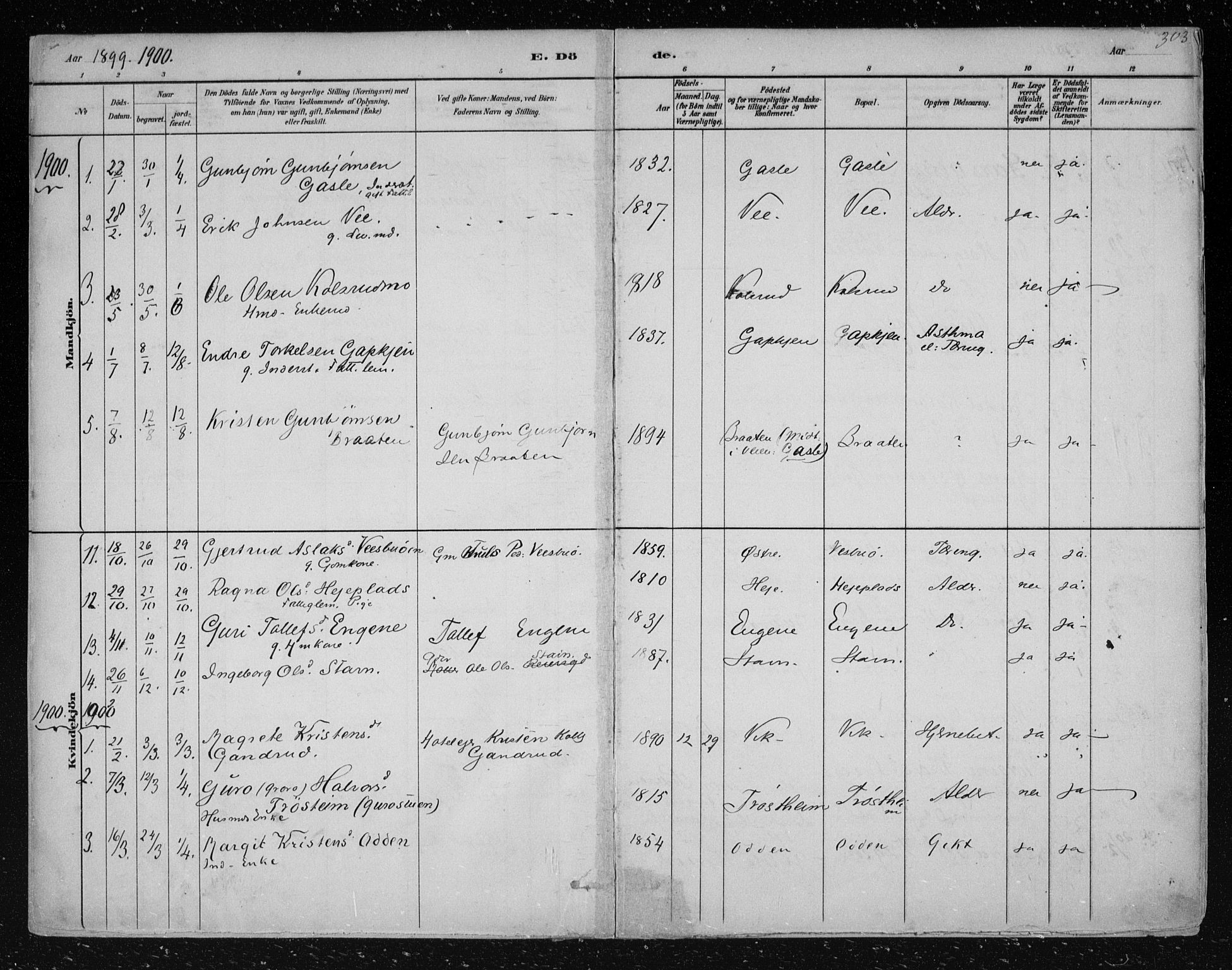 Nes kirkebøker, SAKO/A-236/F/Fa/L0012: Parish register (official) no. 12, 1881-1917, p. 303