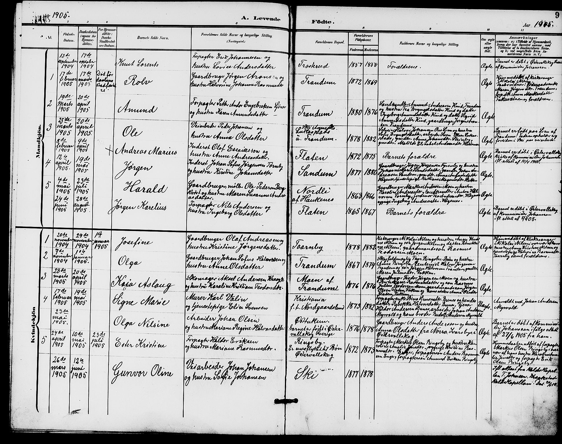 Rødenes prestekontor Kirkebøker, AV/SAO-A-2005/G/Gb/L0001: Parish register (copy) no. II 1, 1901-1910, p. 9