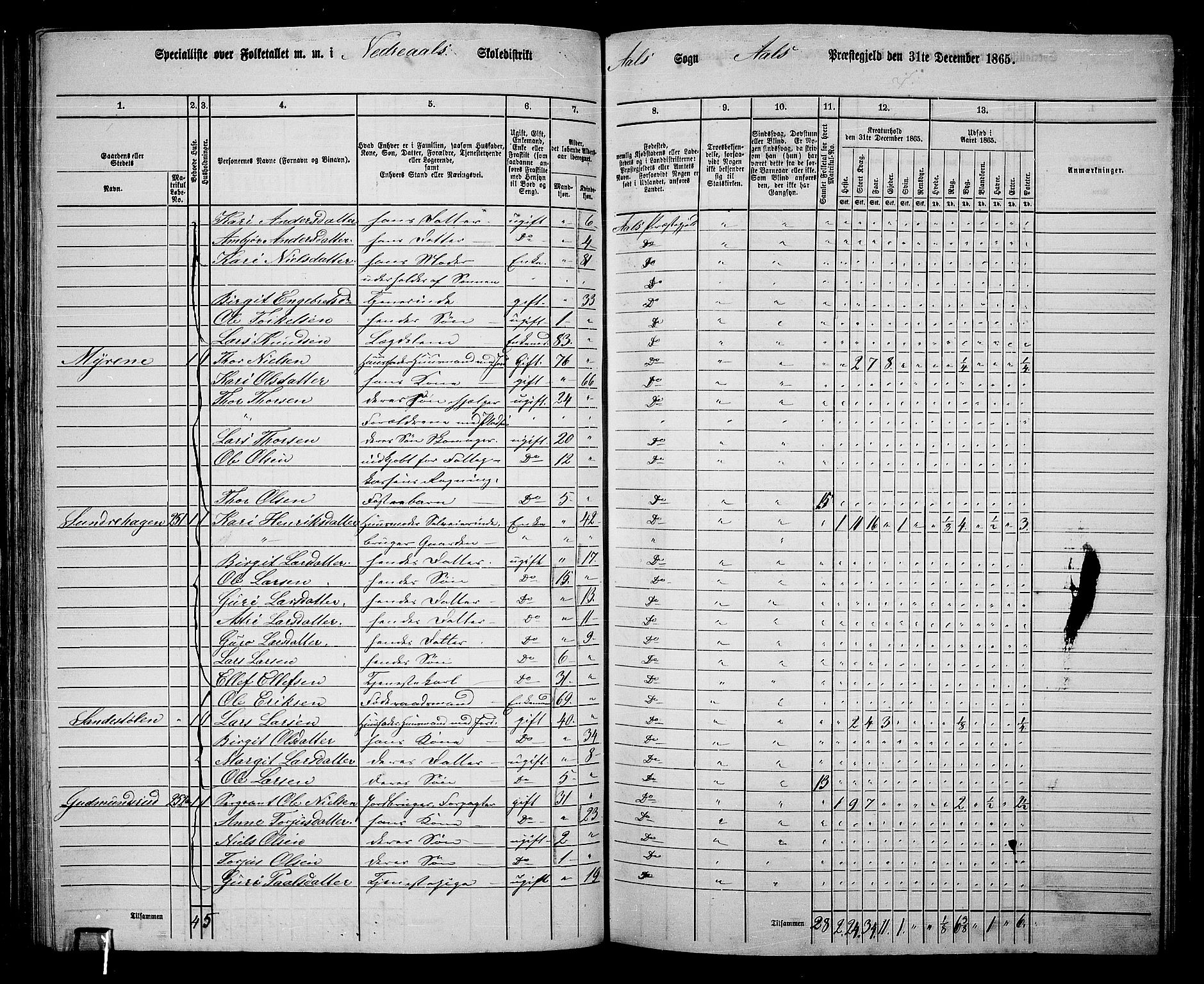 RA, 1865 census for Ål, 1865, p. 140