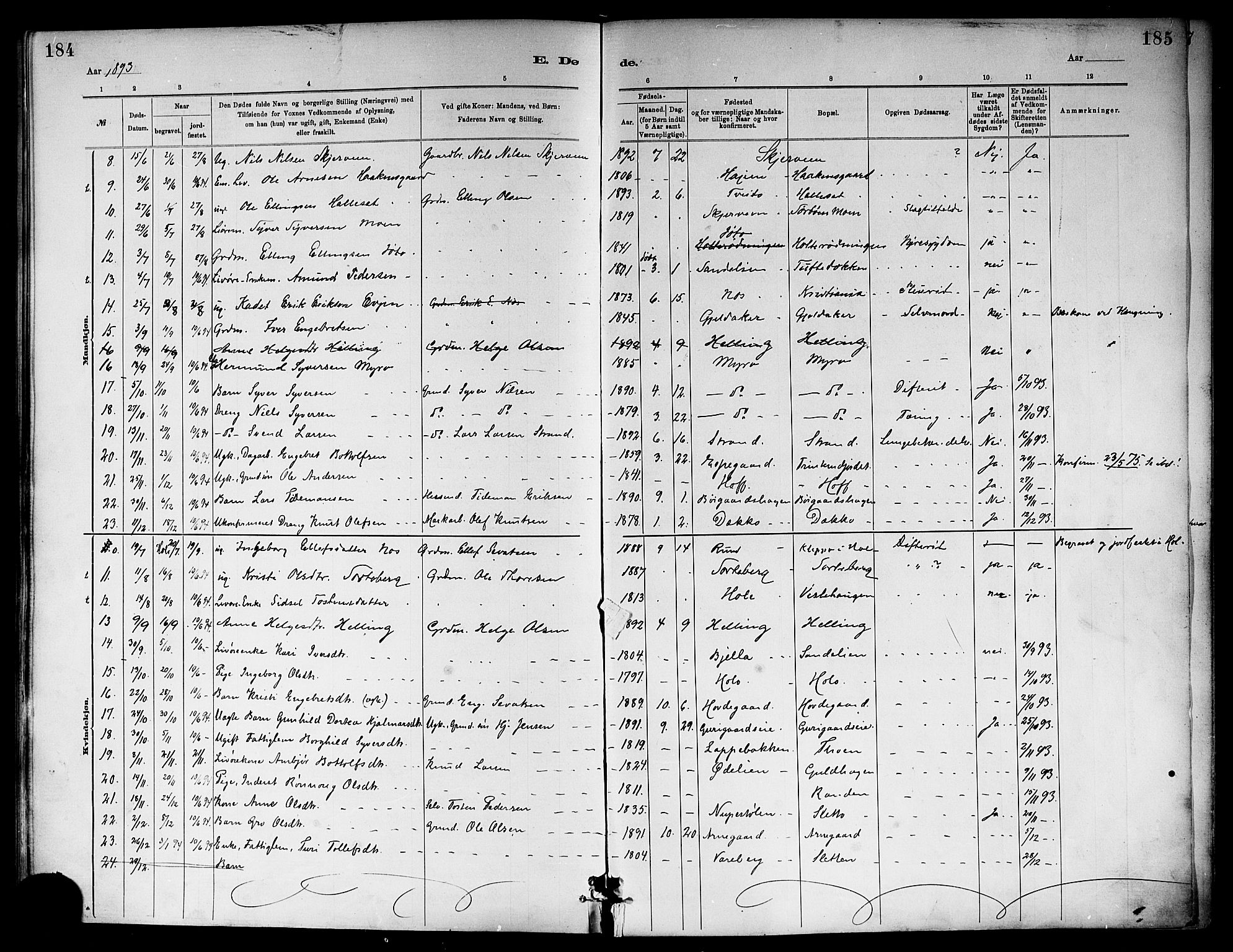 Ål kirkebøker, SAKO/A-249/F/Fa/L0008: Parish register (official) no. I 8, 1882-1896, p. 184-185