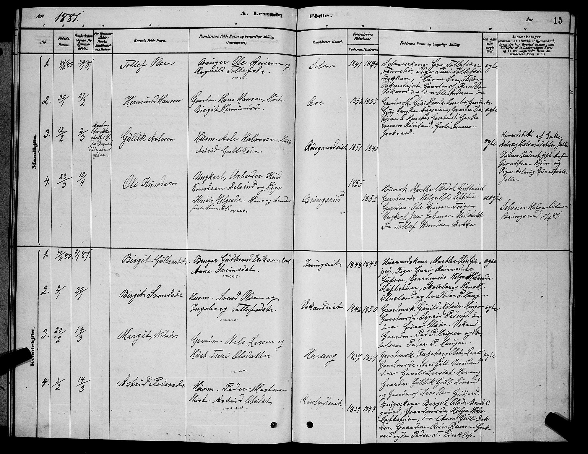 Nore kirkebøker, SAKO/A-238/G/Gb/L0002: Parish register (copy) no. II 2, 1878-1894, p. 15