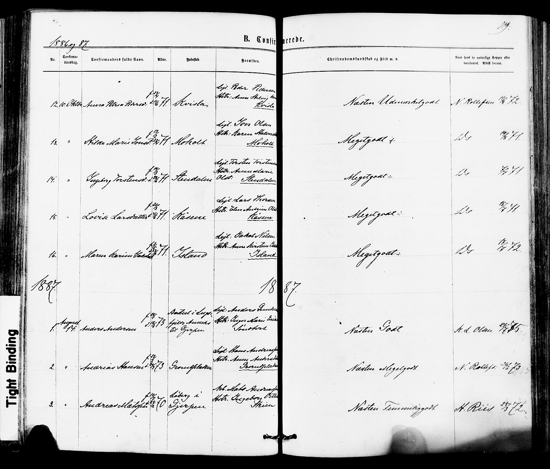 Siljan kirkebøker, AV/SAKO-A-300/F/Fa/L0002: Parish register (official) no. 2, 1870-1895, p. 119