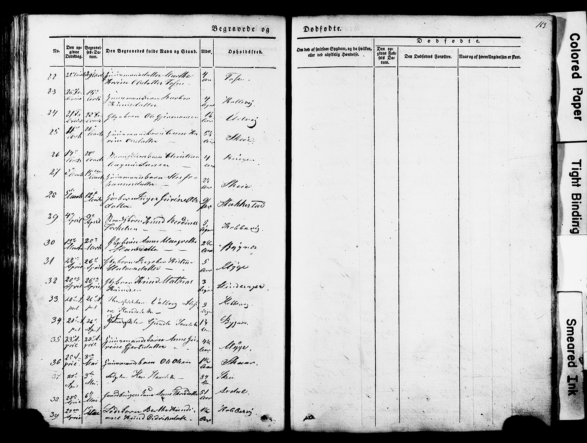 Avaldsnes sokneprestkontor, AV/SAST-A -101851/H/Ha/Haa/L0007: Parish register (official) no. A 7, 1841-1853, p. 163