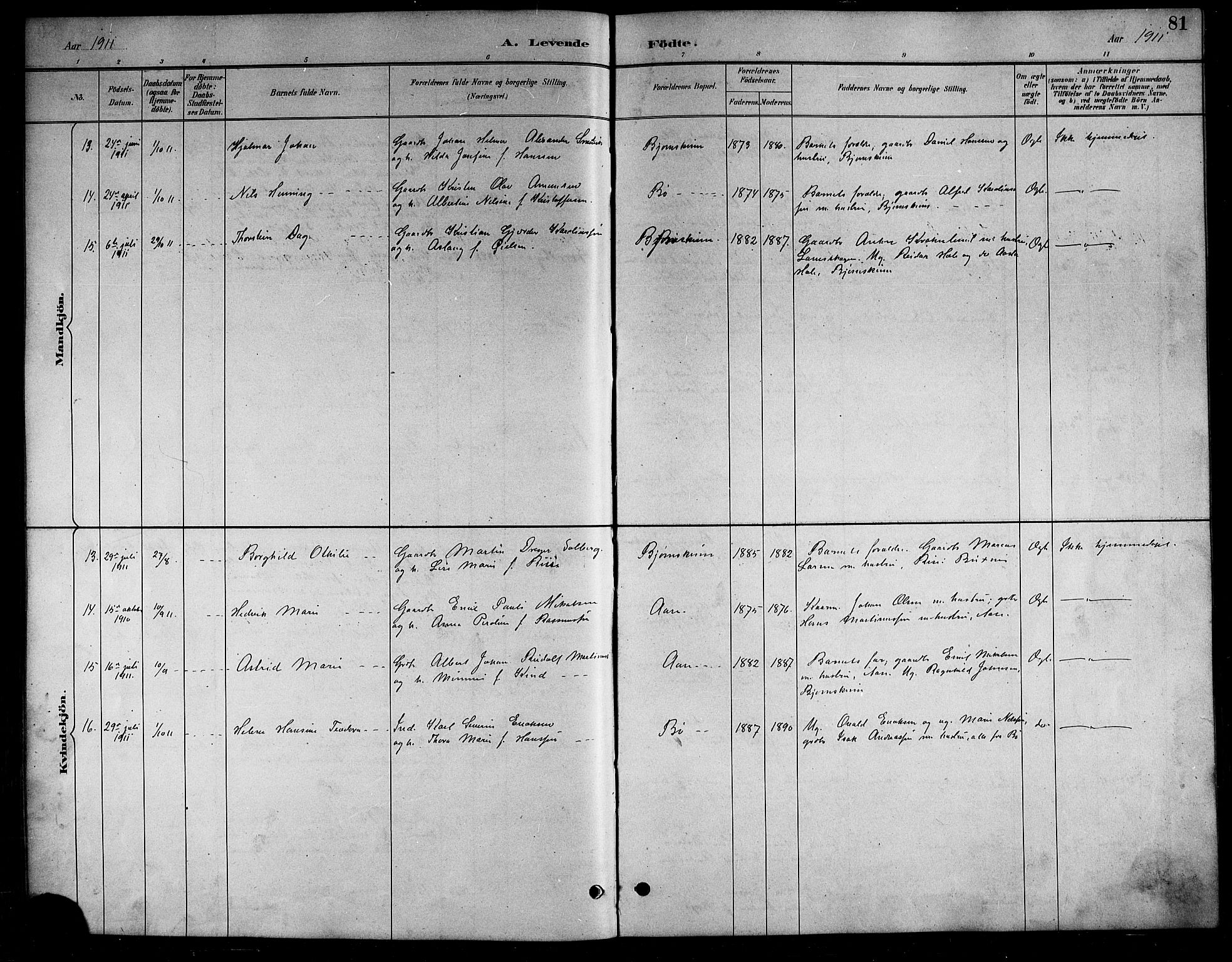 Ministerialprotokoller, klokkerbøker og fødselsregistre - Nordland, AV/SAT-A-1459/898/L1427: Parish register (copy) no. 898C02, 1887-1917, p. 81