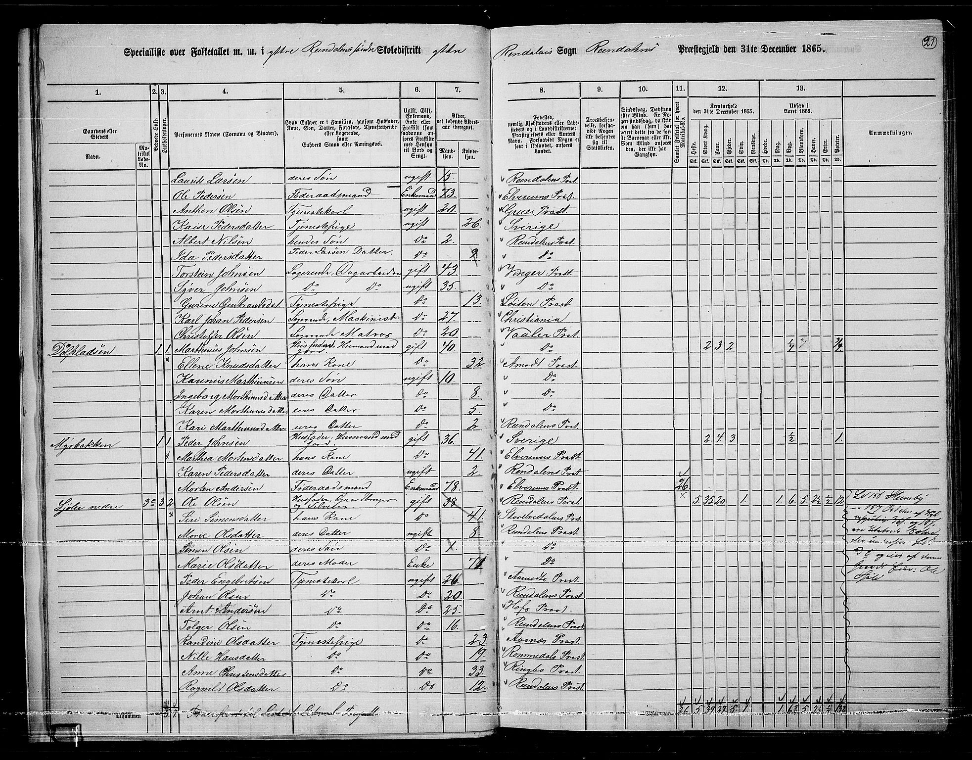 RA, 1865 census for Rendalen, 1865, p. 21