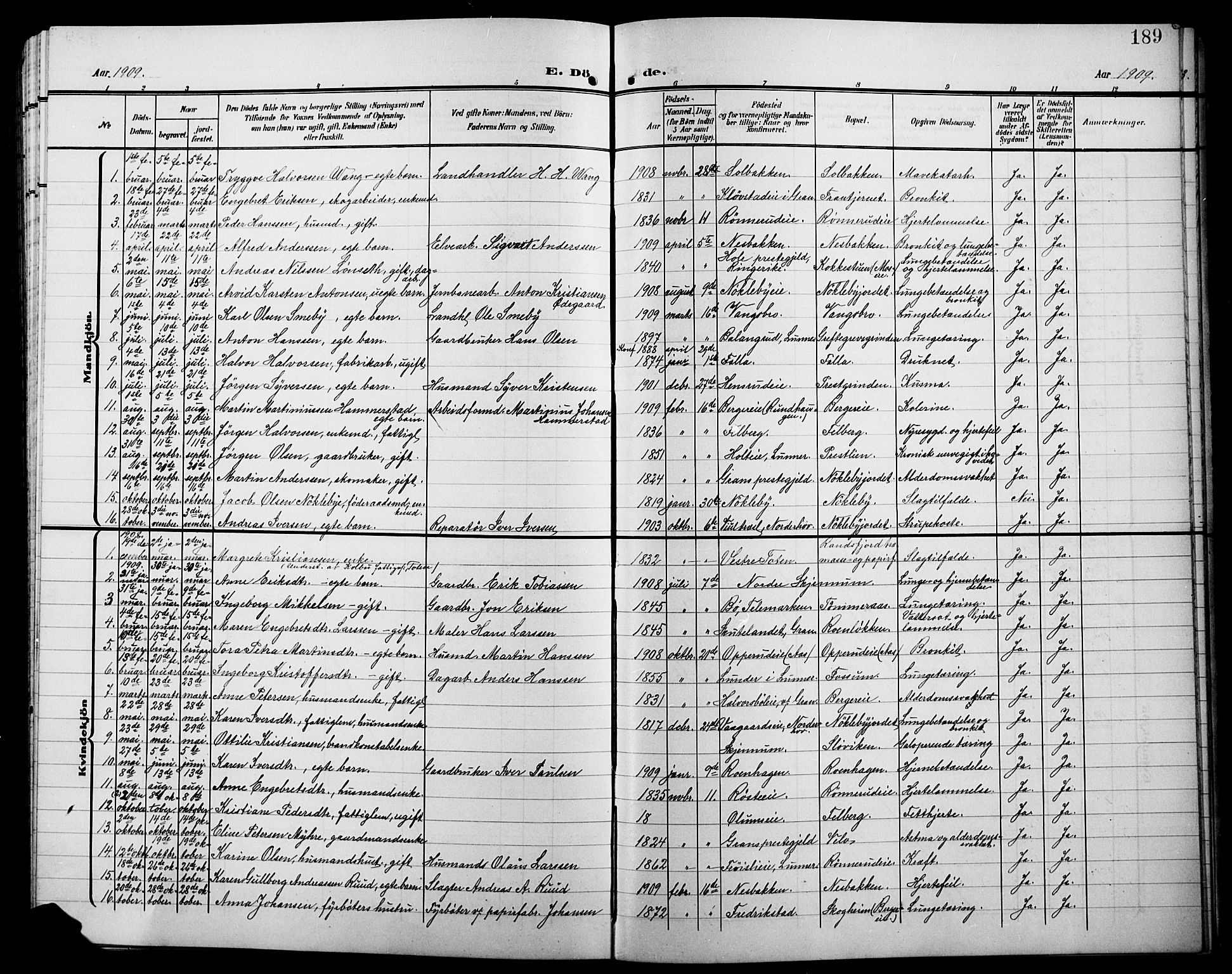 Jevnaker prestekontor, SAH/PREST-116/H/Ha/Hab/L0004: Parish register (copy) no. 4, 1907-1918, p. 189