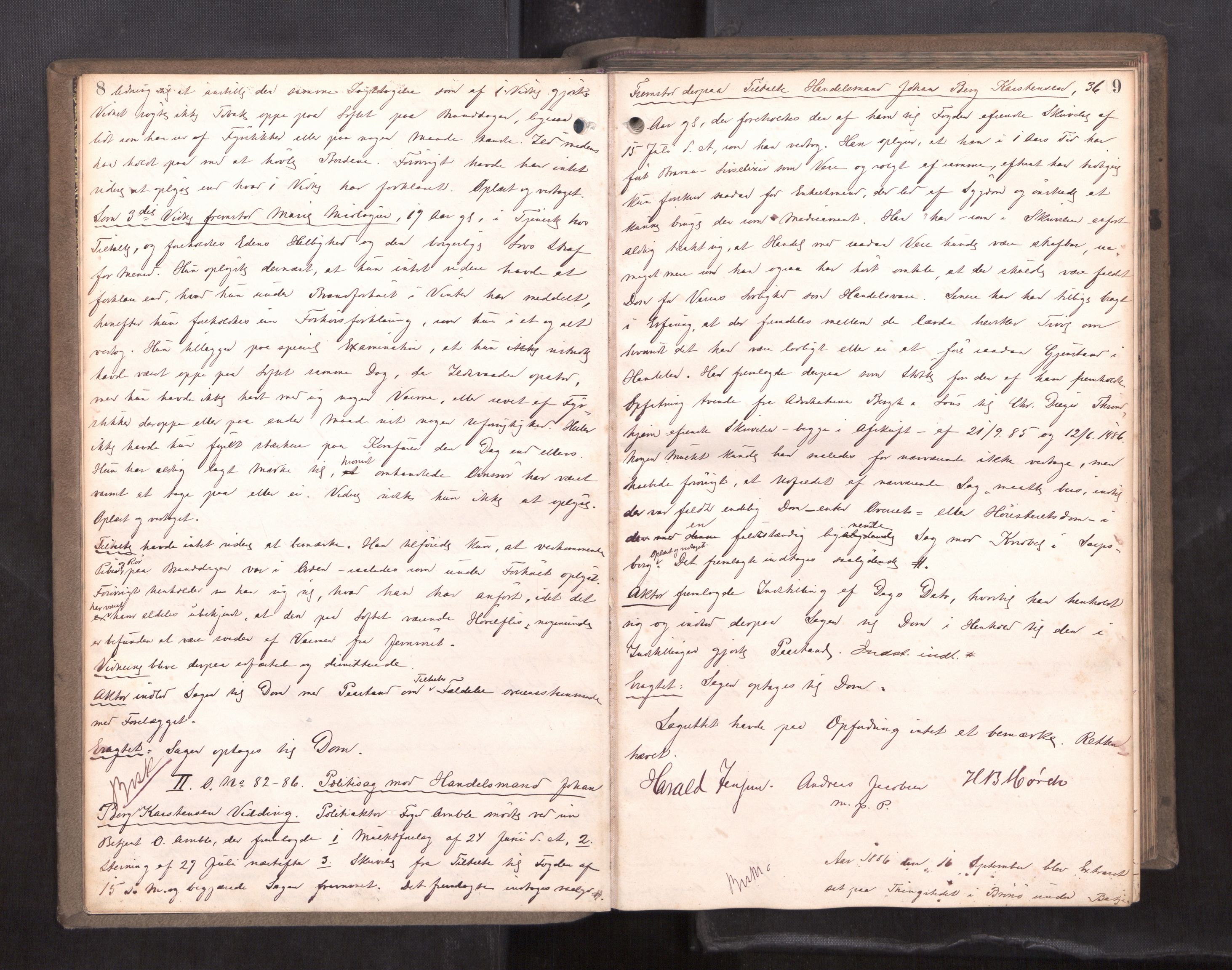 Søndre Helgeland sorenskriveri, AV/SAT-A-4575/1/1/1B/1Ba/L0014: ekstrarettsprotokoll, 1886-1889, p. 8-9