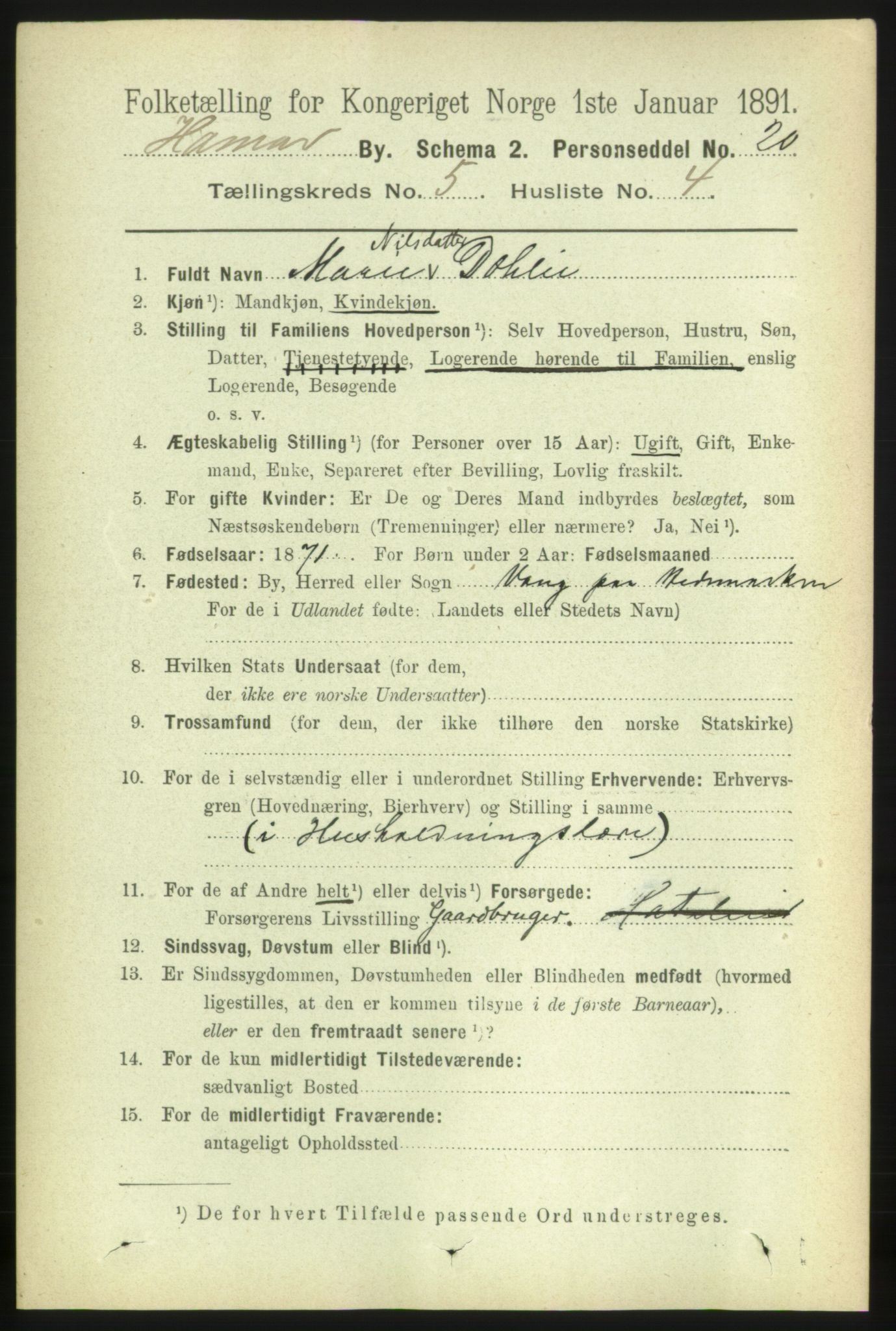 RA, 1891 census for 0401 Hamar, 1891, p. 3754