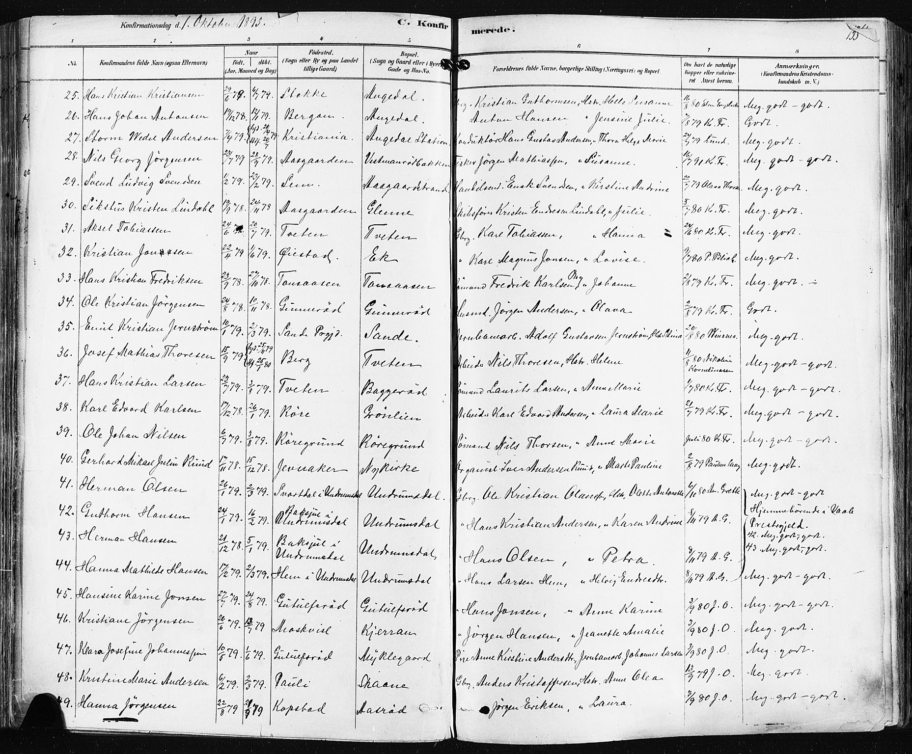 Borre kirkebøker, AV/SAKO-A-338/F/Fa/L0009: Parish register (official) no. I 9, 1878-1896, p. 133