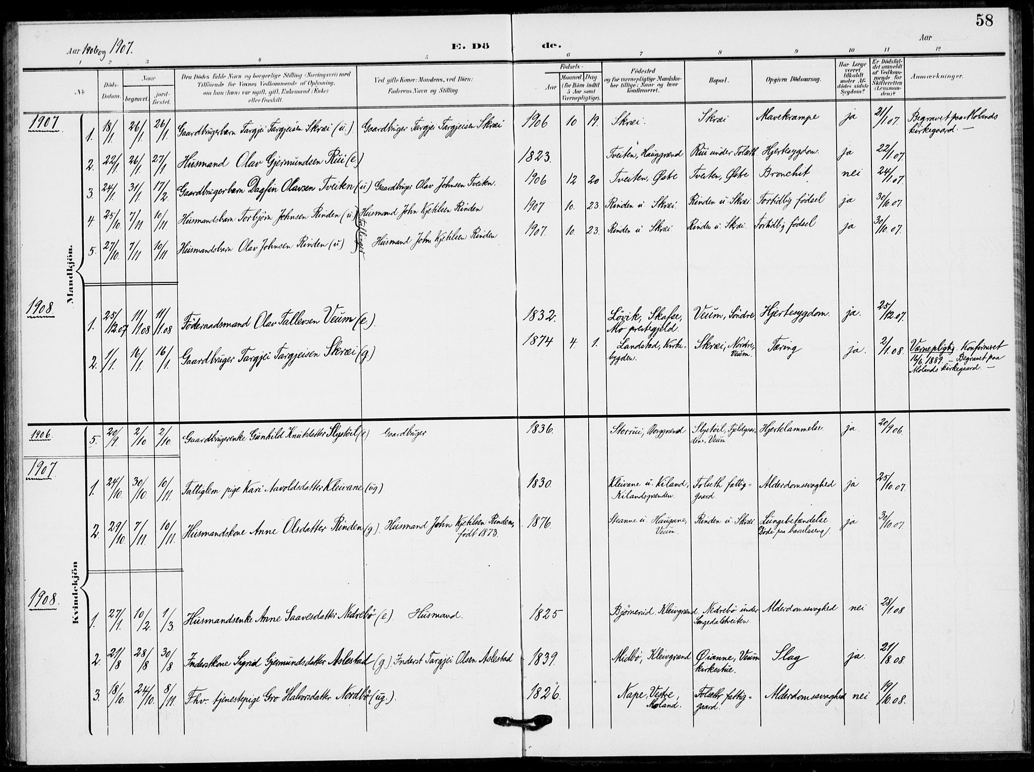 Fyresdal kirkebøker, SAKO/A-263/F/Fb/L0004: Parish register (official) no. II 4, 1903-1920, p. 58
