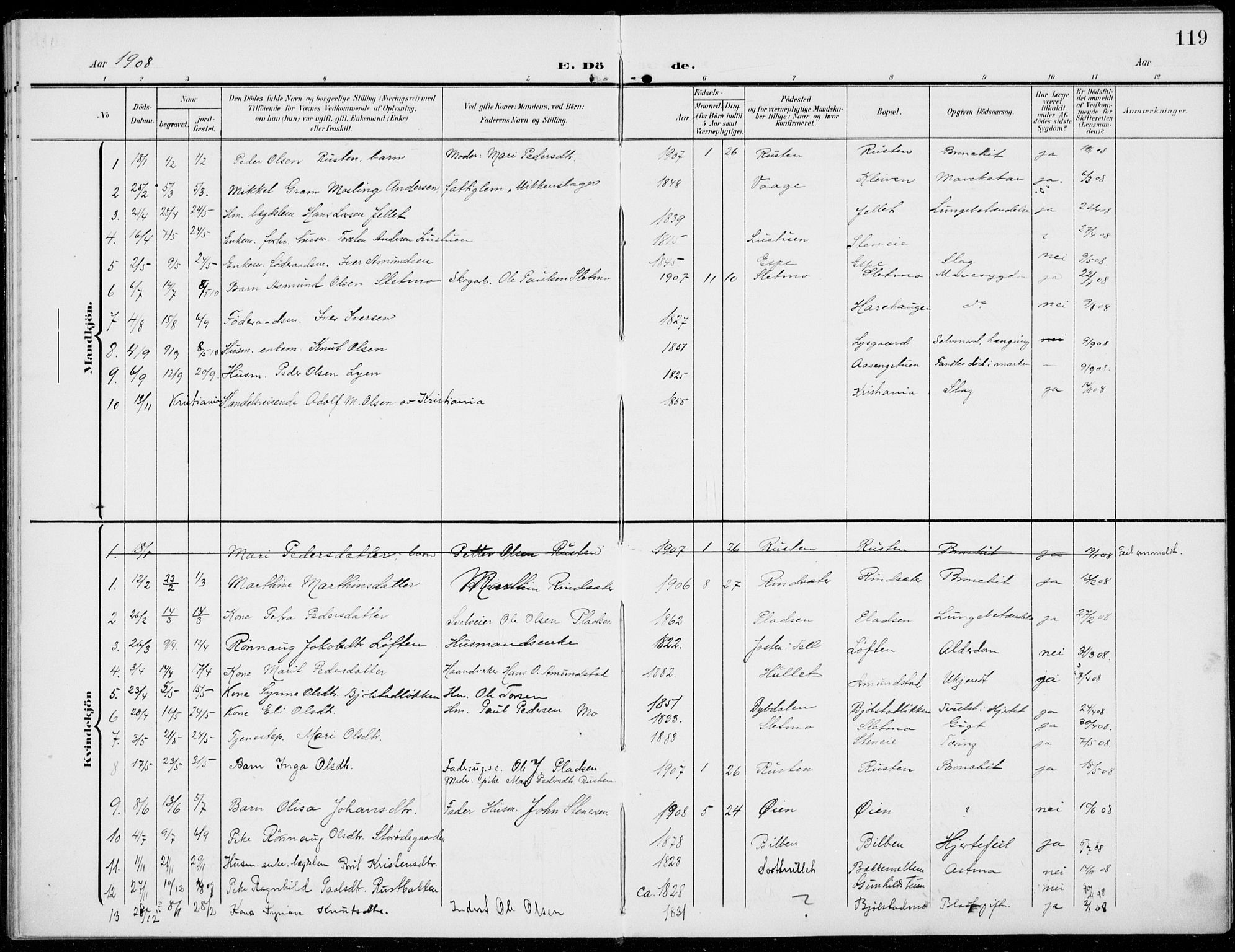 Sel prestekontor, SAH/PREST-074/H/Ha/Haa/L0001: Parish register (official) no. 1, 1905-1922, p. 119
