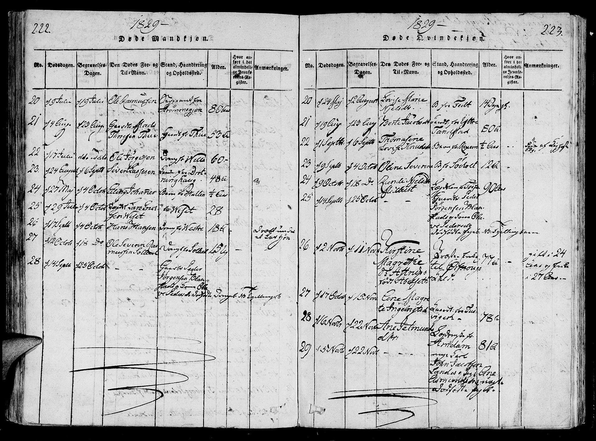 Ministerialprotokoller, klokkerbøker og fødselsregistre - Møre og Romsdal, AV/SAT-A-1454/522/L0310: Parish register (official) no. 522A05, 1816-1832, p. 222-223