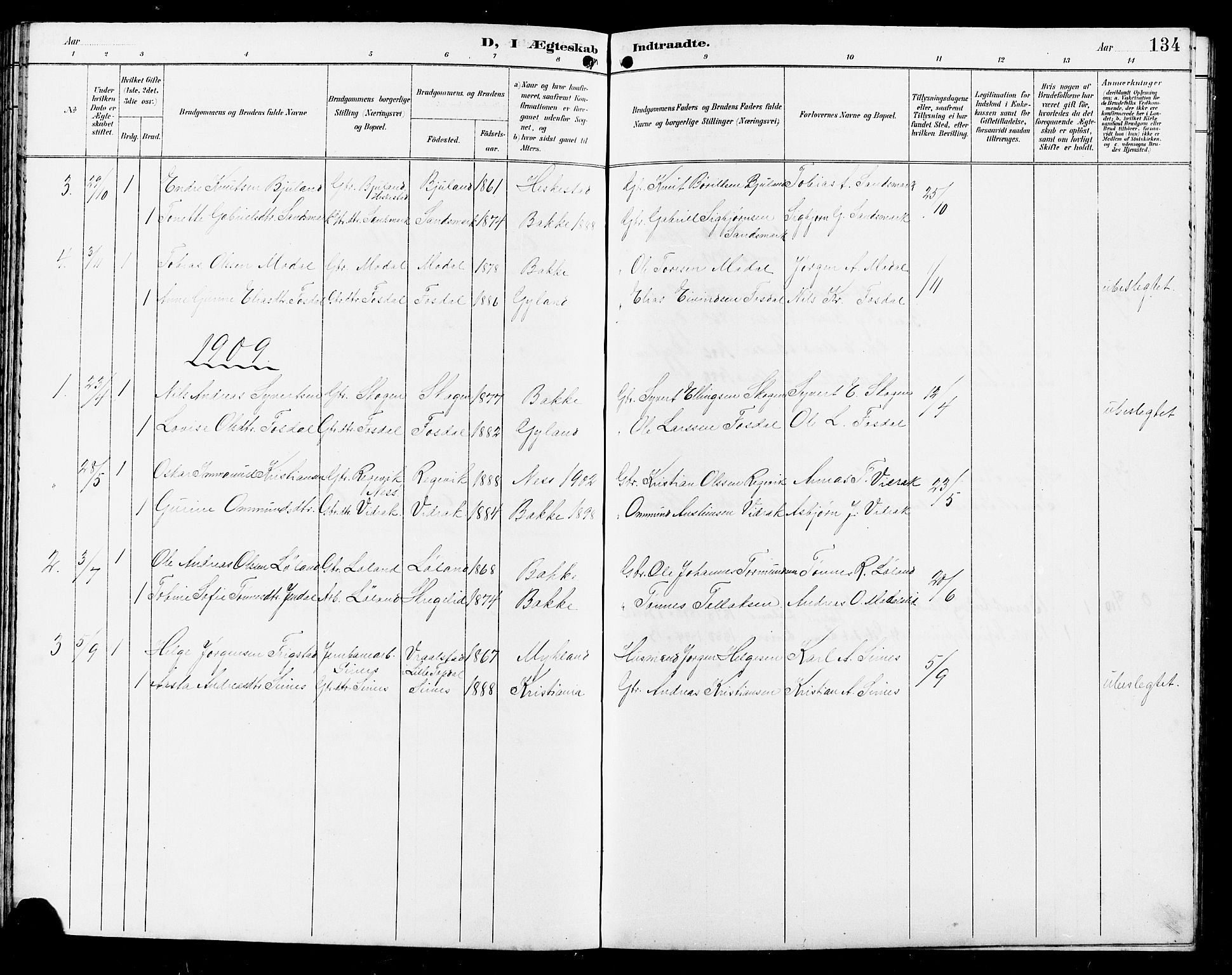 Bakke sokneprestkontor, SAK/1111-0002/F/Fb/Fba/L0003: Parish register (copy) no. B 3, 1894-1910, p. 134
