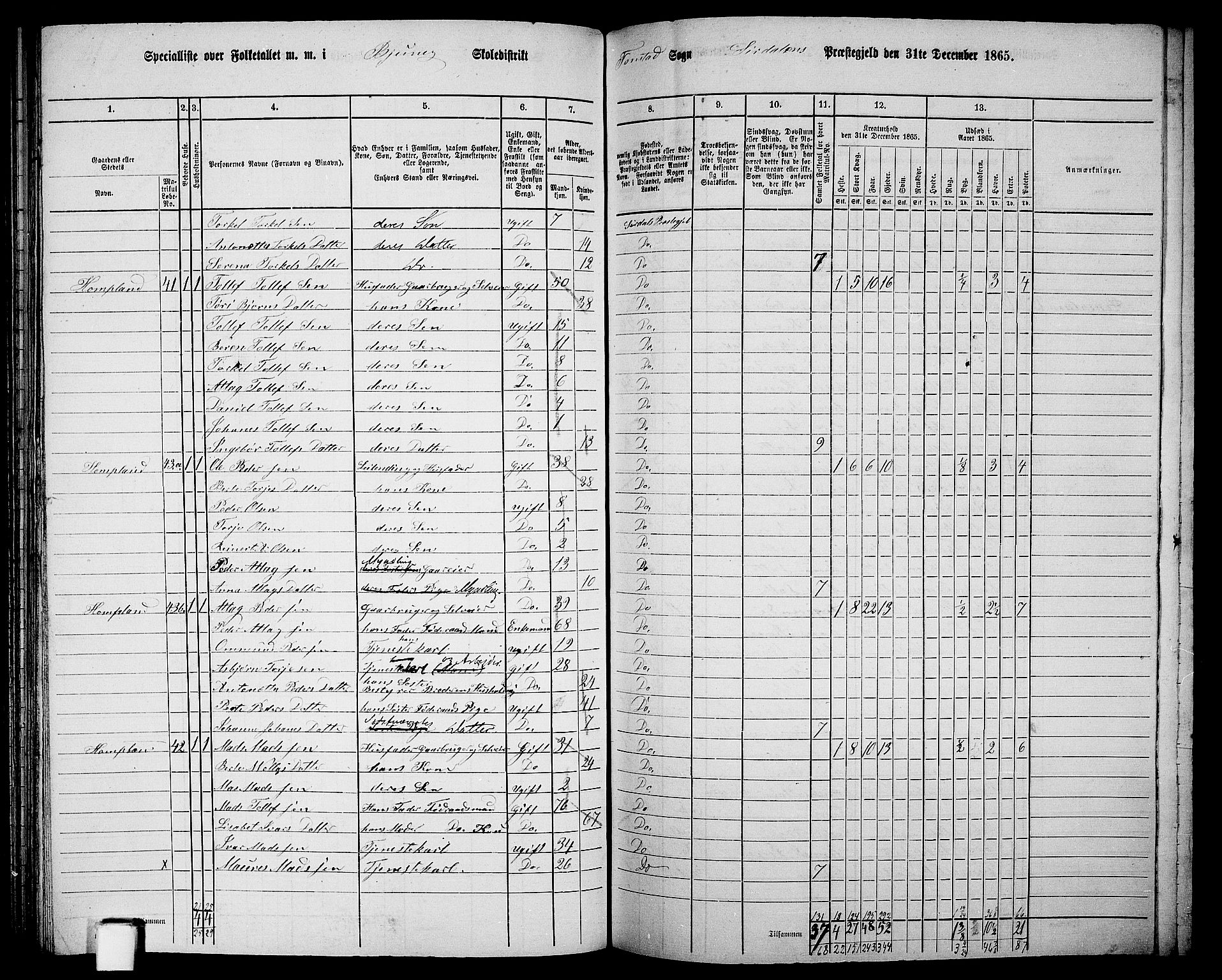 RA, 1865 census for Sirdal, 1865, p. 17