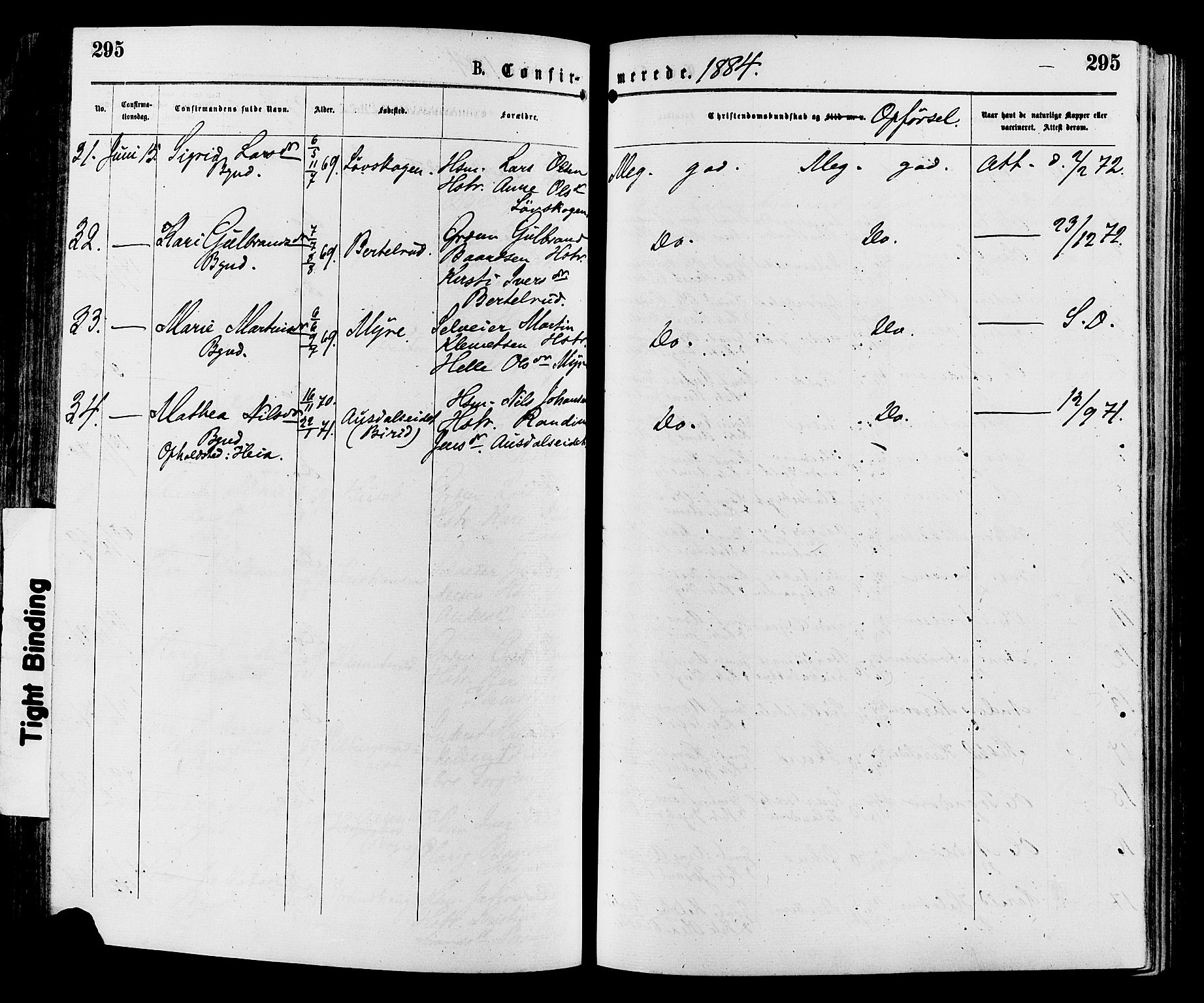 Sør-Aurdal prestekontor, SAH/PREST-128/H/Ha/Haa/L0008: Parish register (official) no. 8, 1877-1885, p. 295