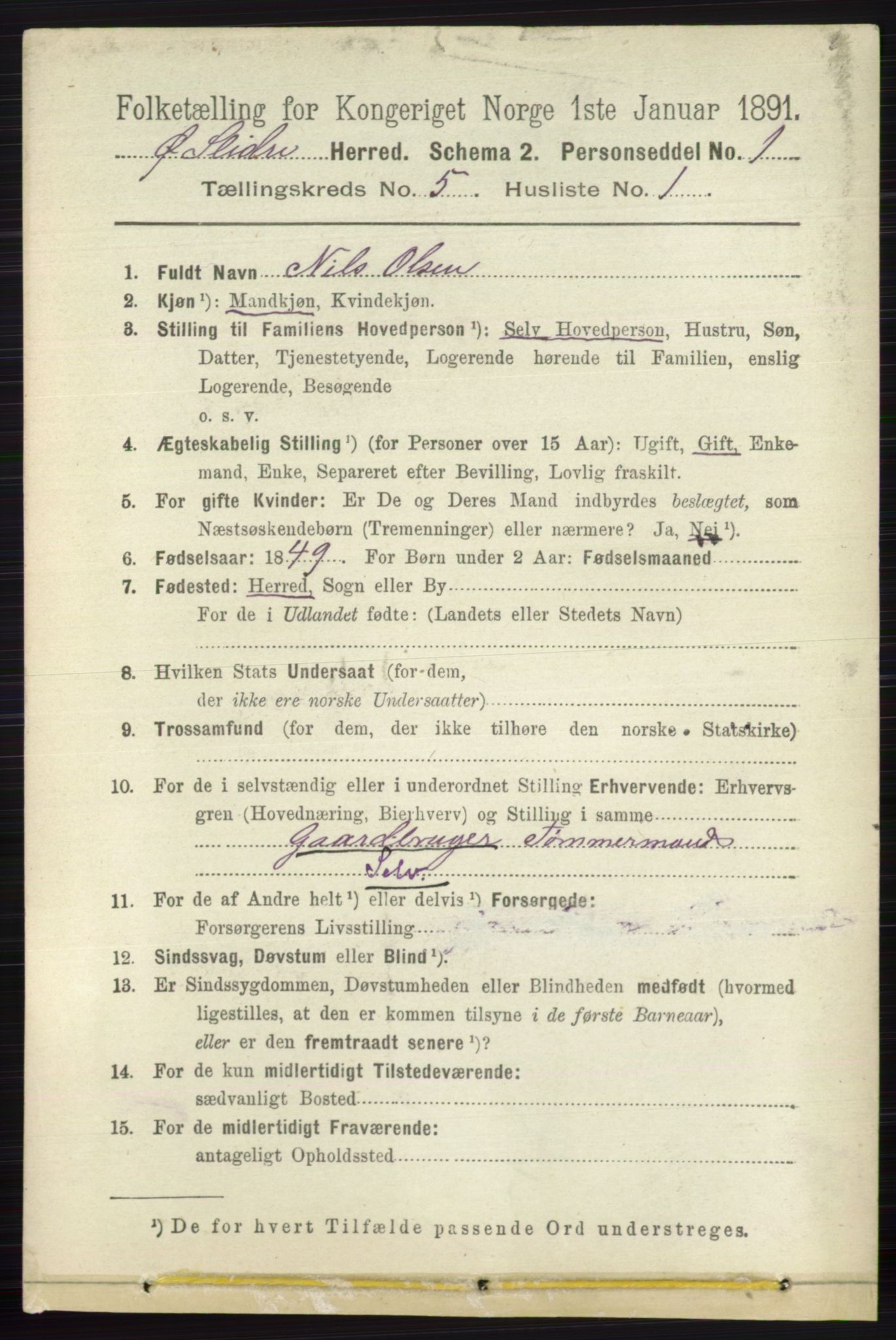 RA, 1891 census for 0544 Øystre Slidre, 1891, p. 1602