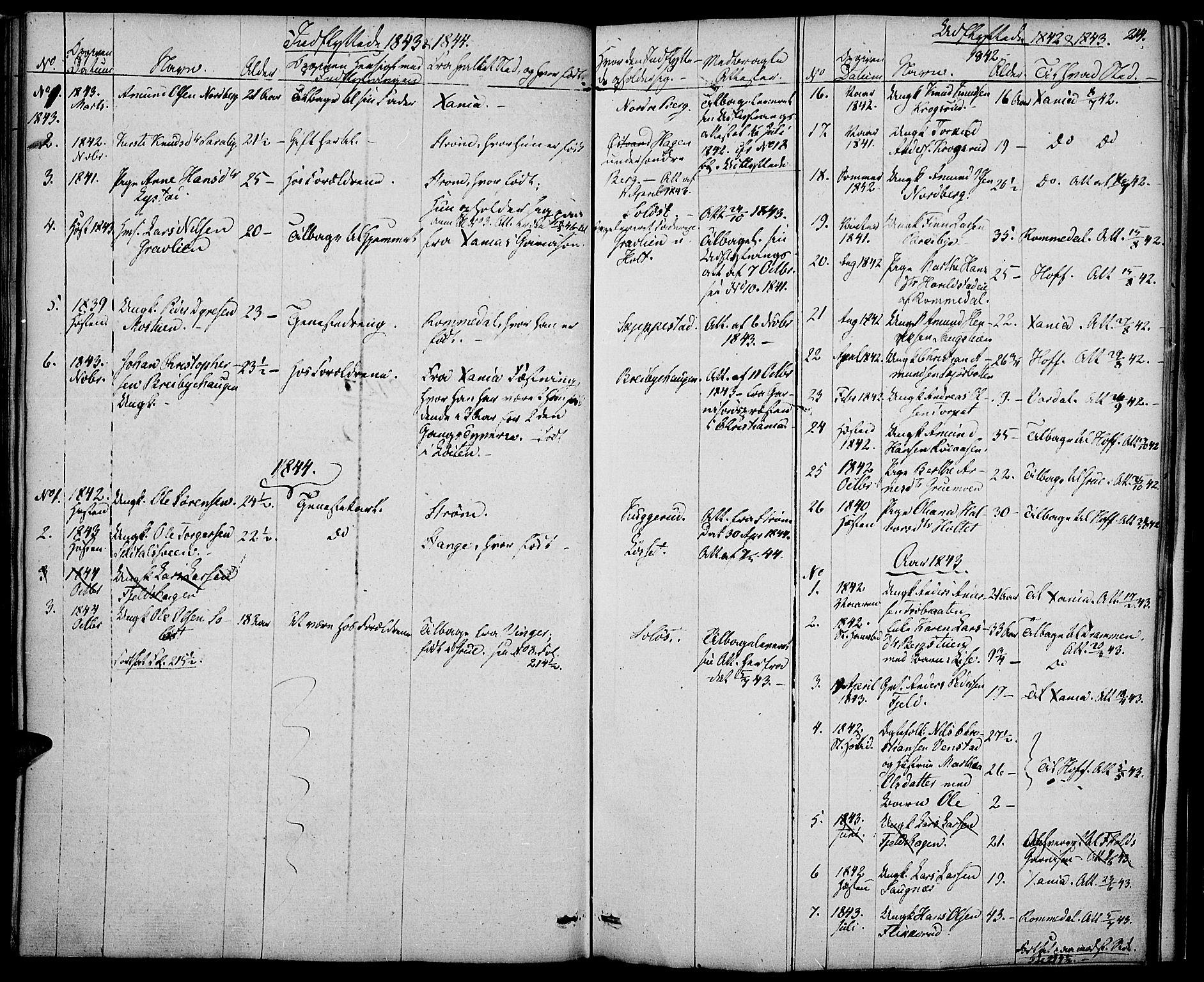 Nord-Odal prestekontor, AV/SAH-PREST-032/H/Ha/Haa/L0002: Parish register (official) no. 2, 1839-1850, p. 214