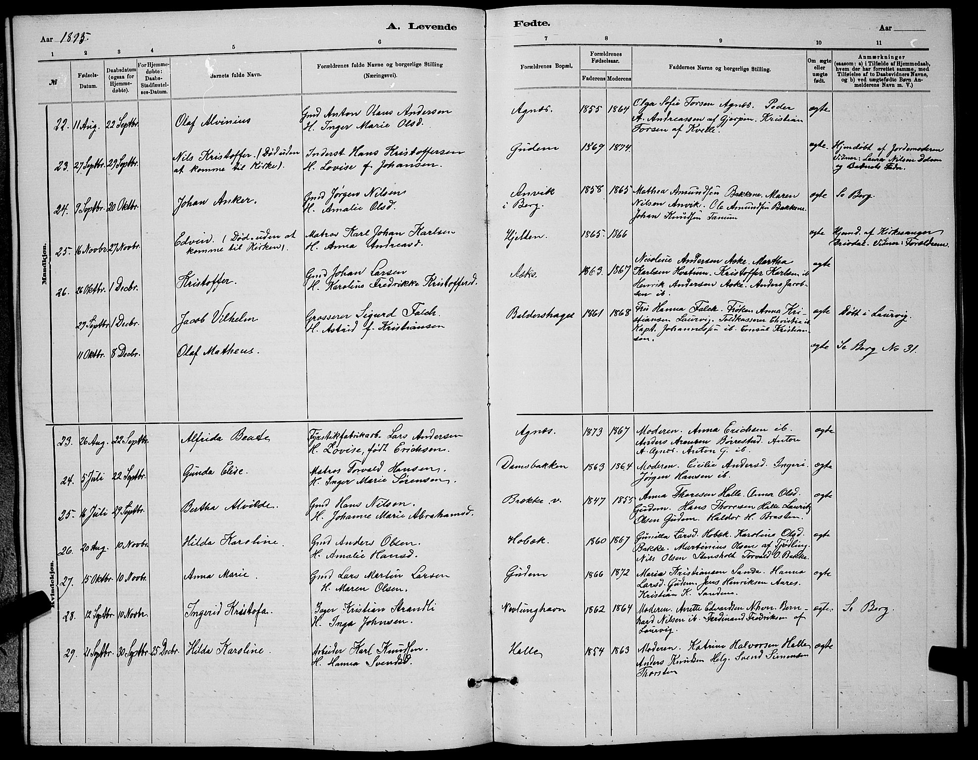 Brunlanes kirkebøker, AV/SAKO-A-342/G/Ga/L0003: Parish register (copy) no. I 3, 1877-1898