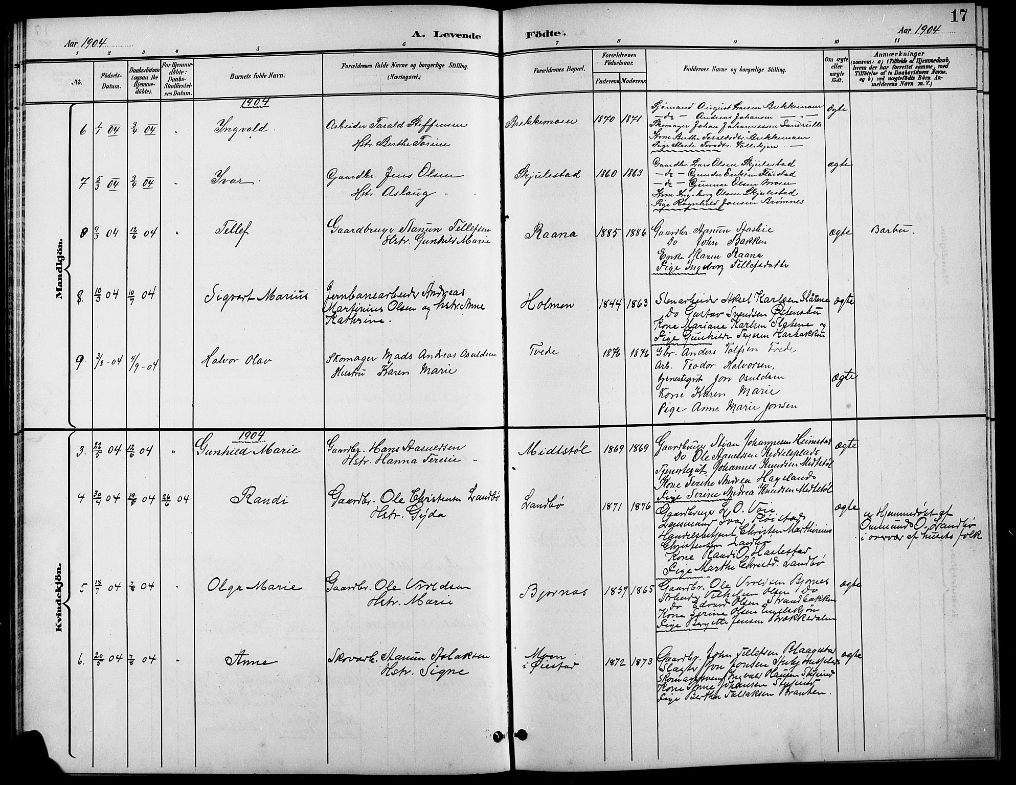 Austre Moland sokneprestkontor, SAK/1111-0001/F/Fb/Fba/L0004: Parish register (copy) no. B 4a, 1897-1913, p. 17