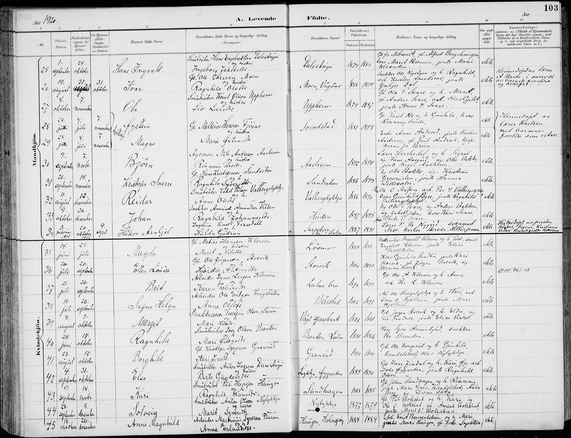 Vågå prestekontor, AV/SAH-PREST-076/H/Ha/Hab/L0002: Parish register (copy) no. 2, 1894-1939, p. 103