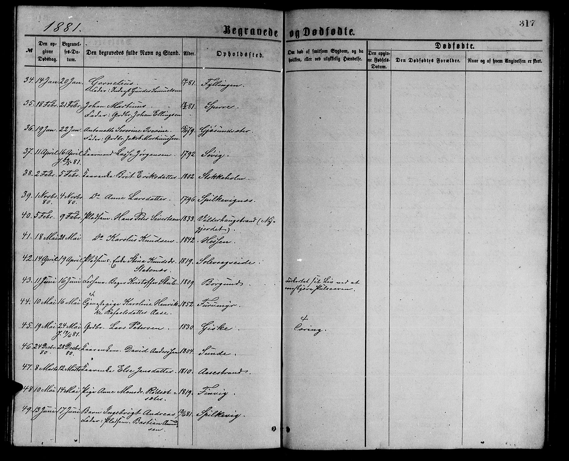 Ministerialprotokoller, klokkerbøker og fødselsregistre - Møre og Romsdal, AV/SAT-A-1454/528/L0429: Parish register (copy) no. 528C10, 1872-1886, p. 317