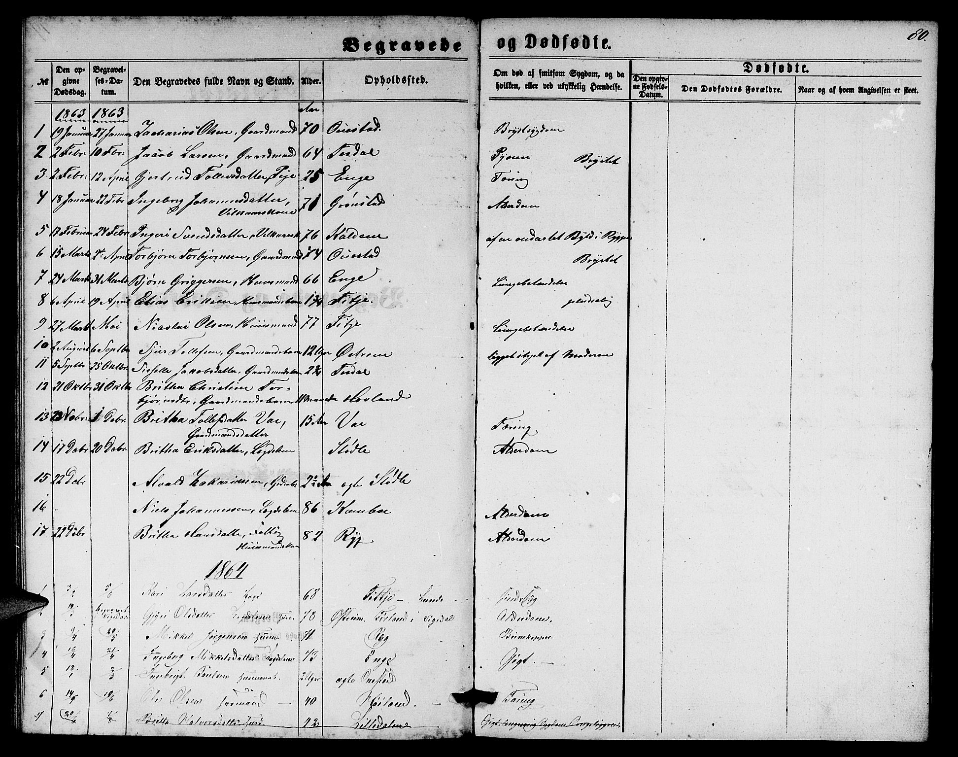 Etne sokneprestembete, SAB/A-75001/H/Hab: Parish register (copy) no. A 3, 1863-1873, p. 80