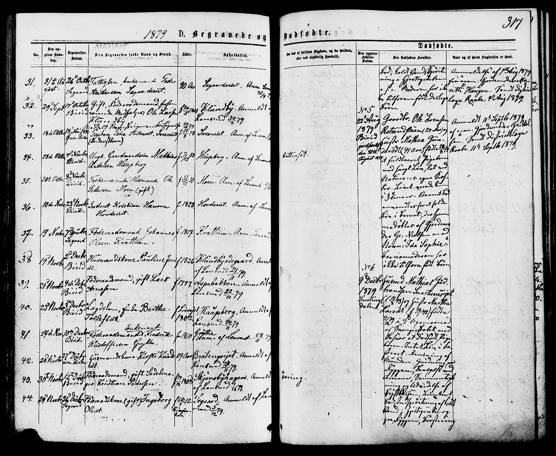 Biri prestekontor, SAH/PREST-096/H/Ha/Haa/L0006: Parish register (official) no. 6, 1877-1886, p. 317