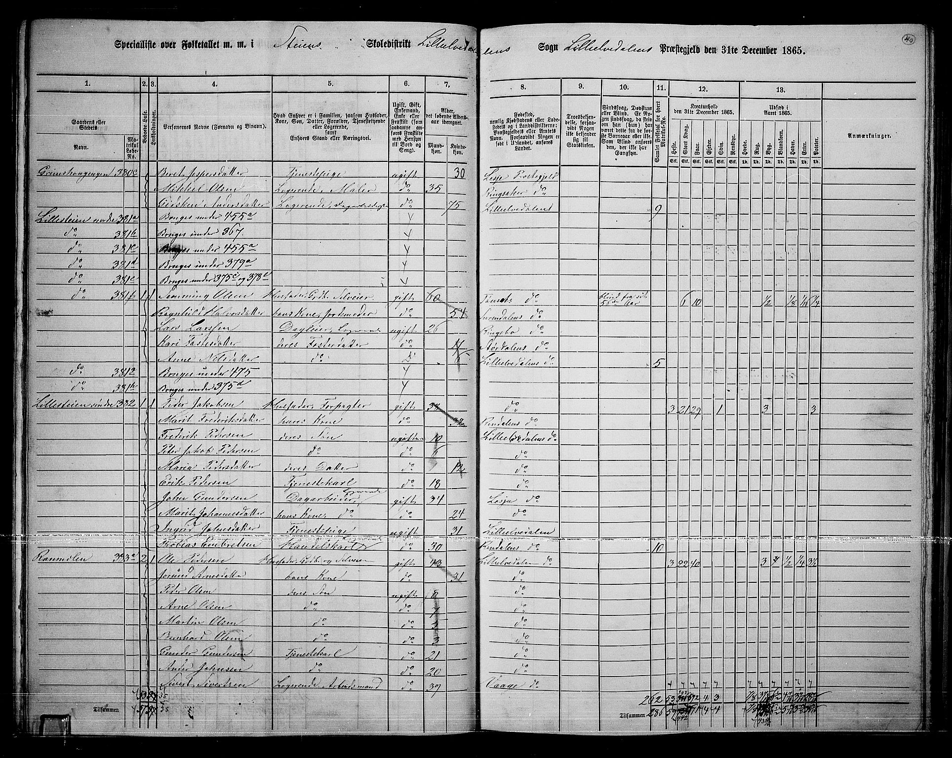 RA, 1865 census for Lille Elvedalen, 1865, p. 36