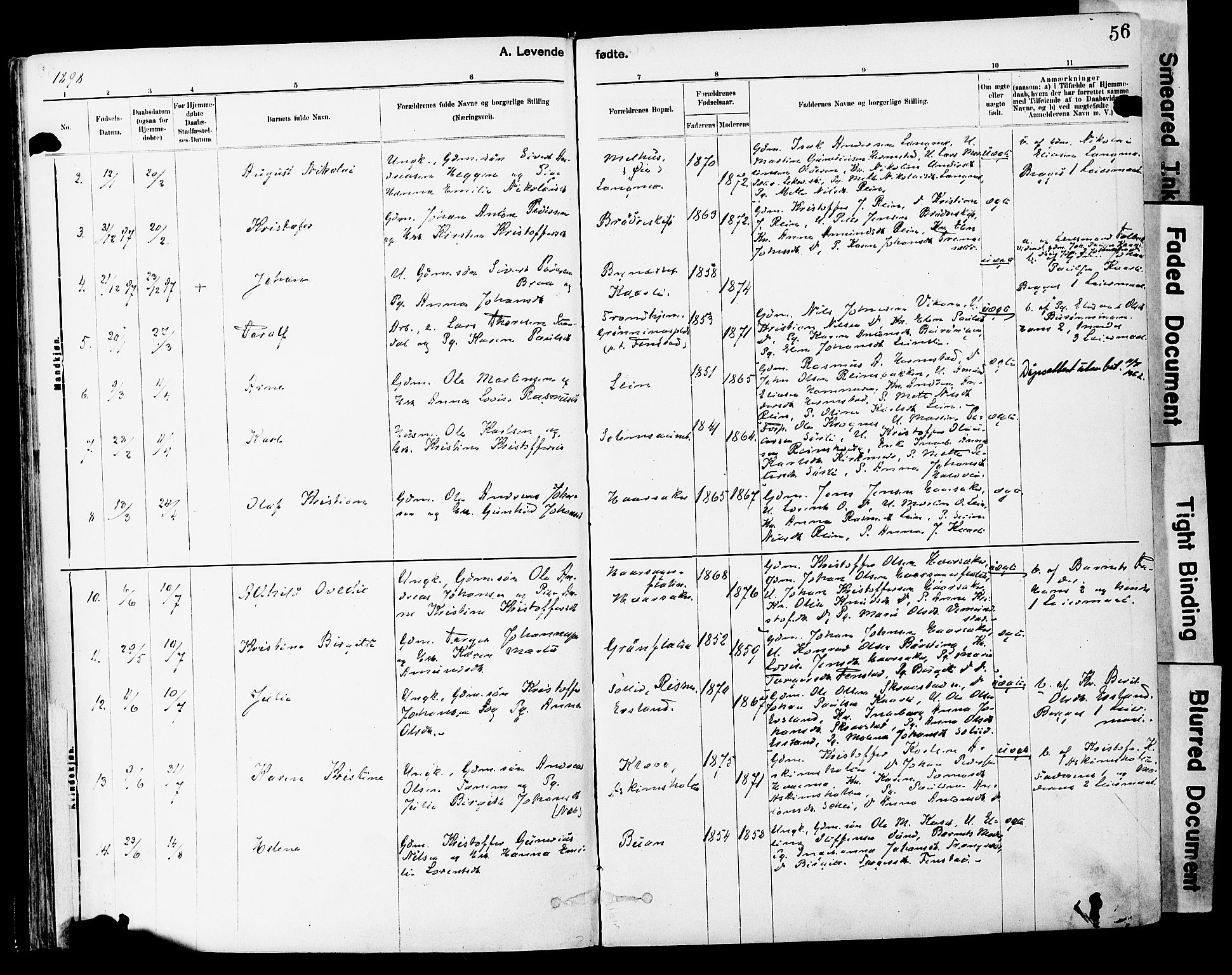 Ministerialprotokoller, klokkerbøker og fødselsregistre - Sør-Trøndelag, SAT/A-1456/646/L0615: Parish register (official) no. 646A13, 1885-1900, p. 56