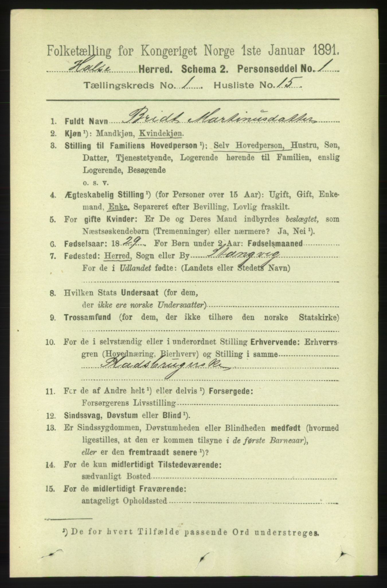 RA, 1891 census for 1571 Halsa, 1891, p. 160