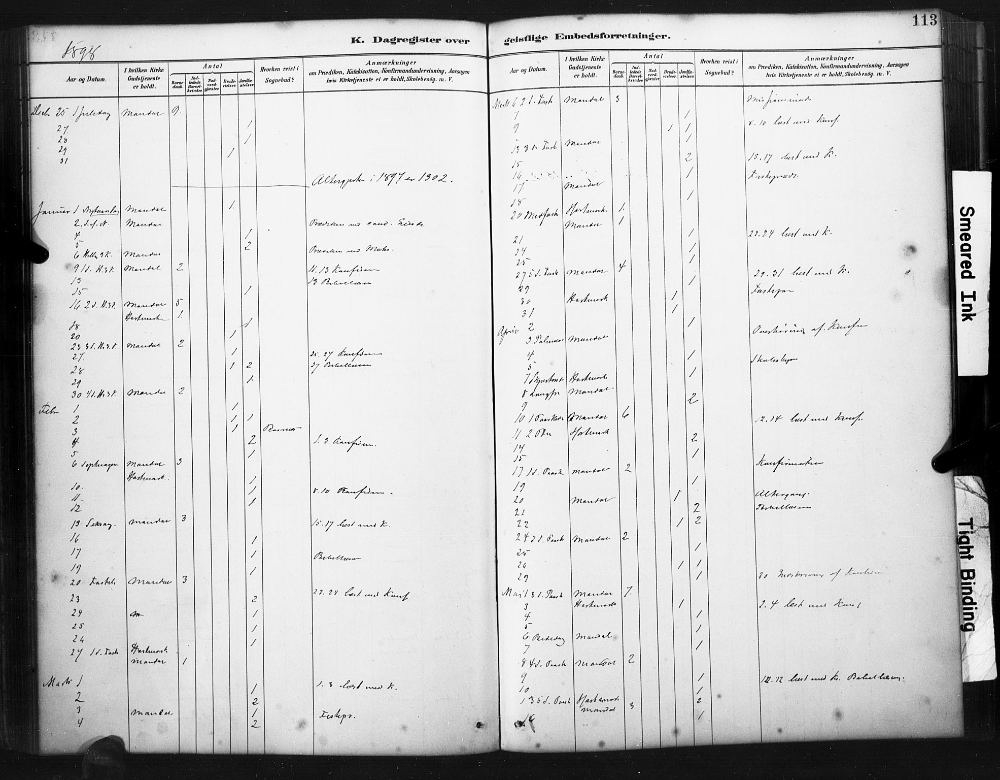 Mandal sokneprestkontor, SAK/1111-0030/F/Fa/Faa/L0017: Parish register (official) no. A 17, 1880-1926, p. 113