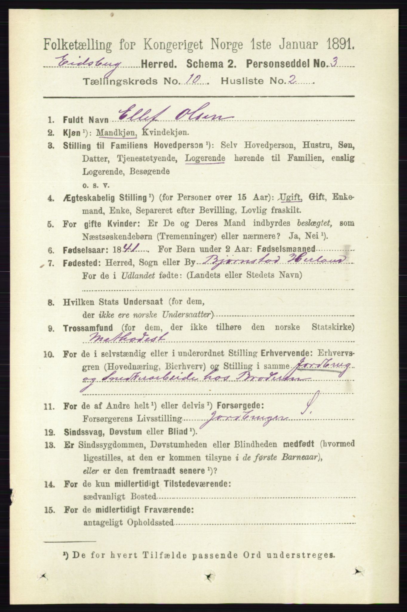 RA, 1891 census for 0125 Eidsberg, 1891, p. 5675