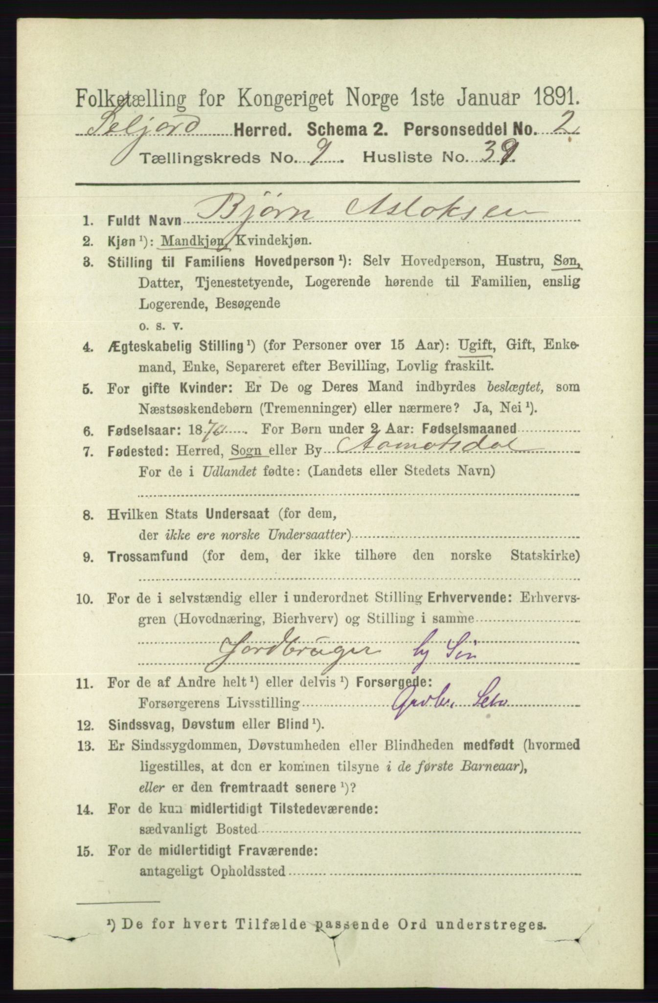 RA, 1891 census for 0828 Seljord, 1891, p. 3383