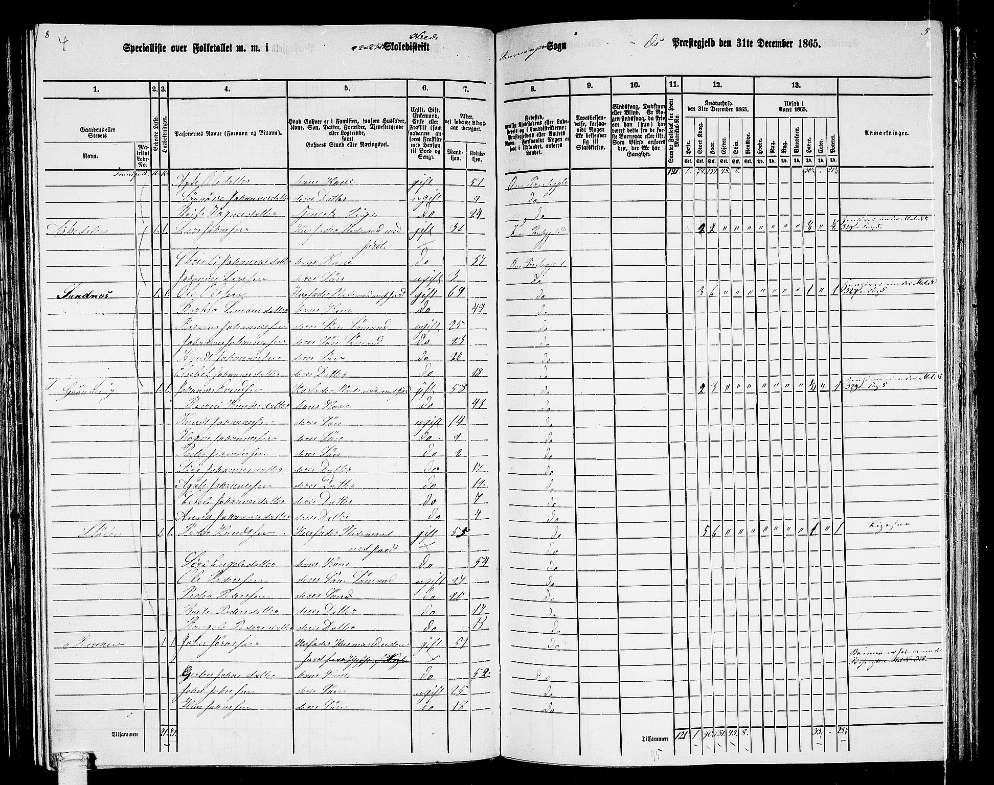 RA, 1865 census for Os, 1865, p. 141