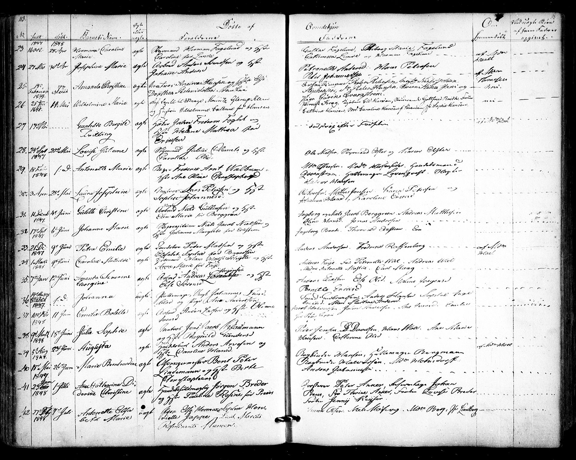 Halden prestekontor Kirkebøker, SAO/A-10909/F/Fa/L0006: Parish register (official) no. I 6, 1845-1856, p. 113