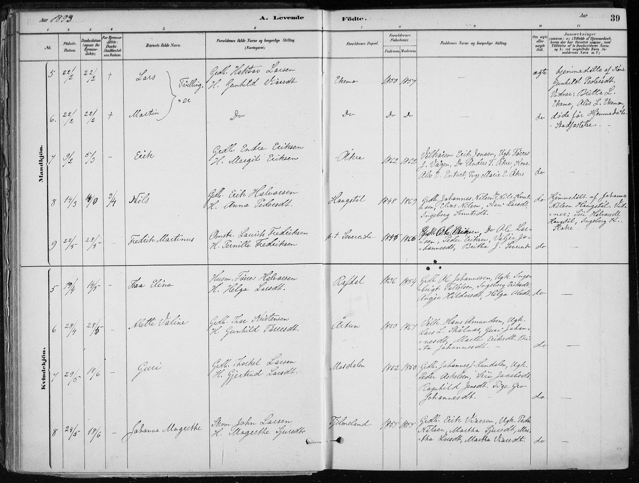 Skånevik sokneprestembete, SAB/A-77801/H/Haa: Parish register (official) no. E  1, 1879-1901, p. 39