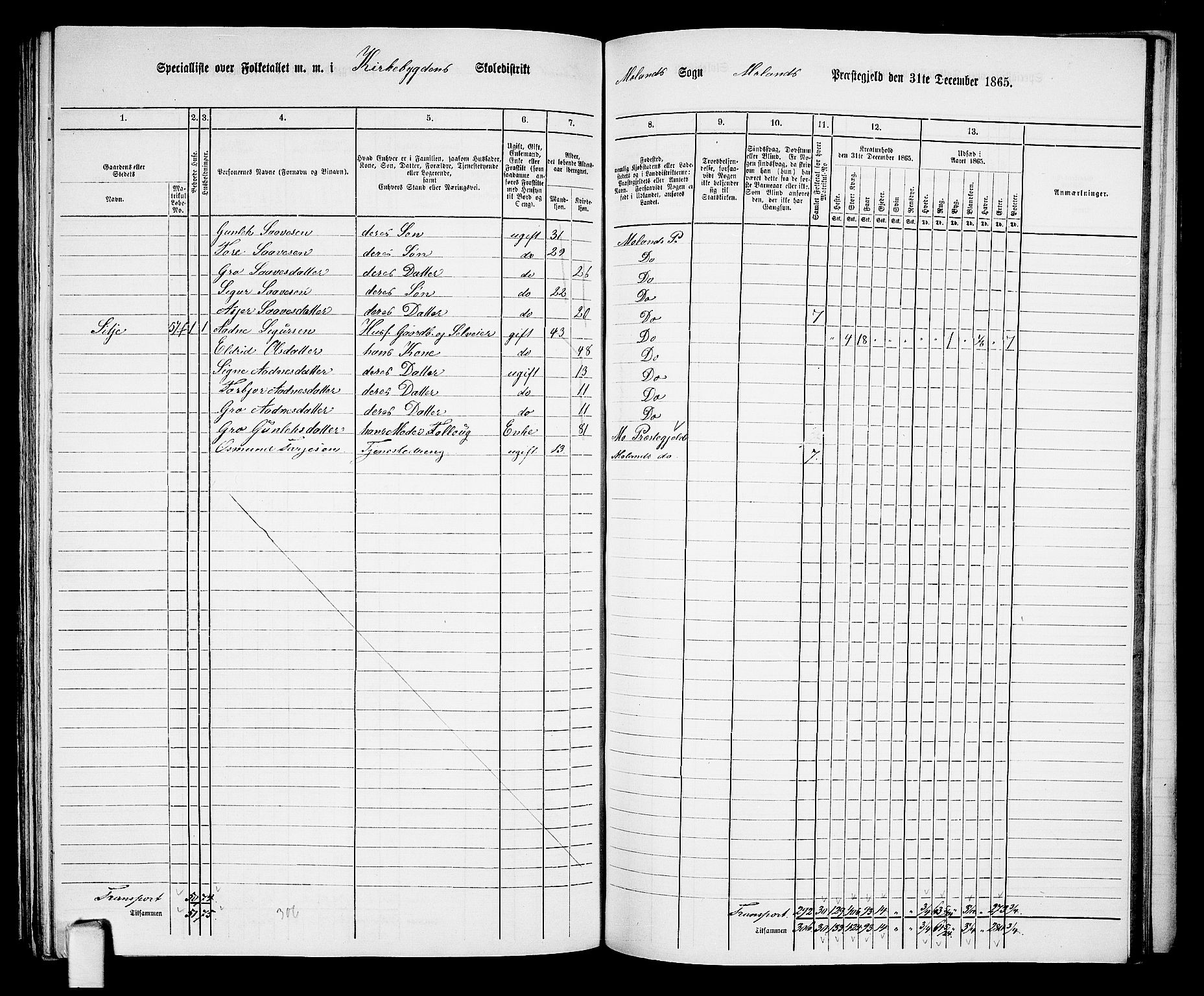 RA, 1865 census for Moland, 1865, p. 57