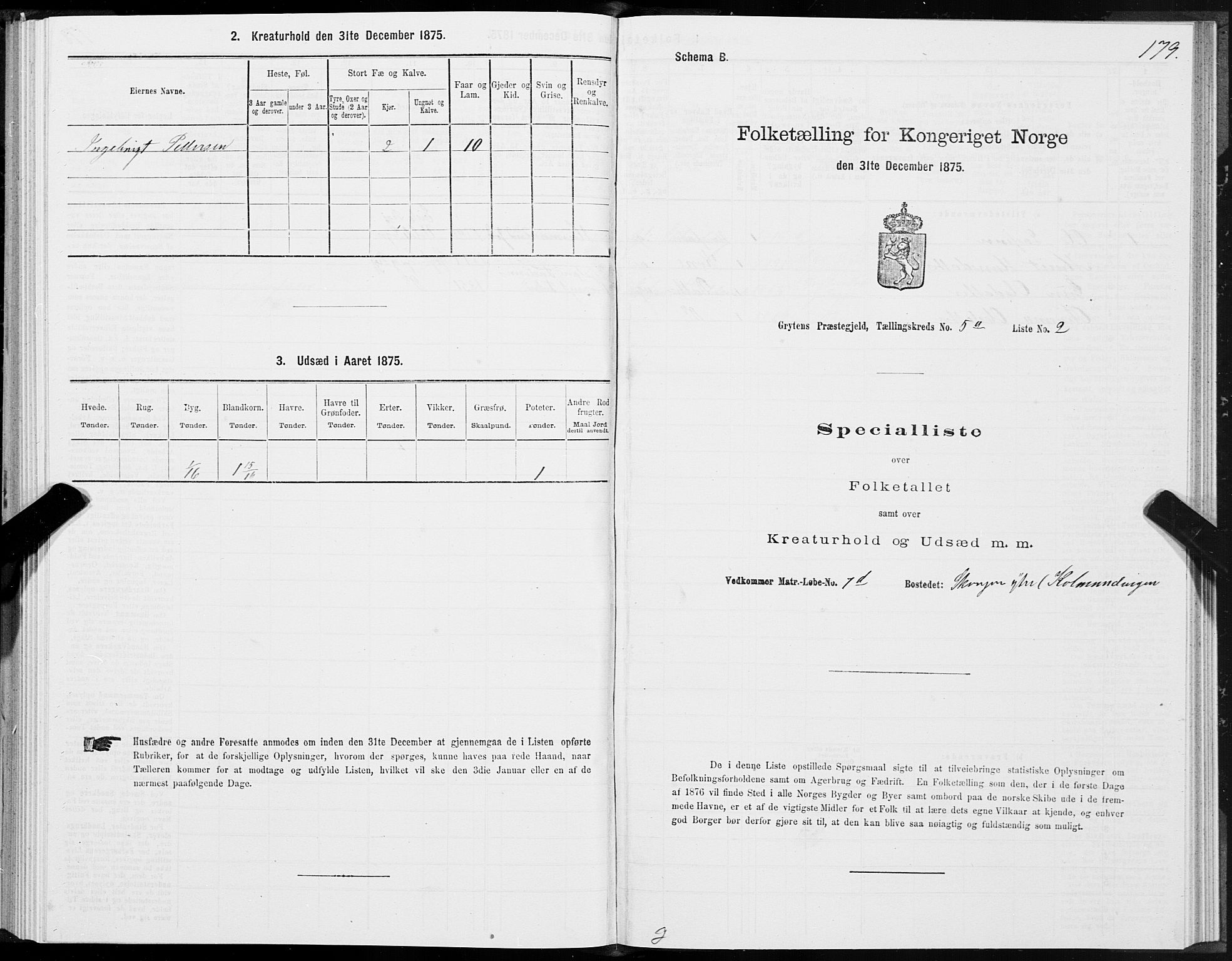 SAT, 1875 census for 1539P Grytten, 1875, p. 2179