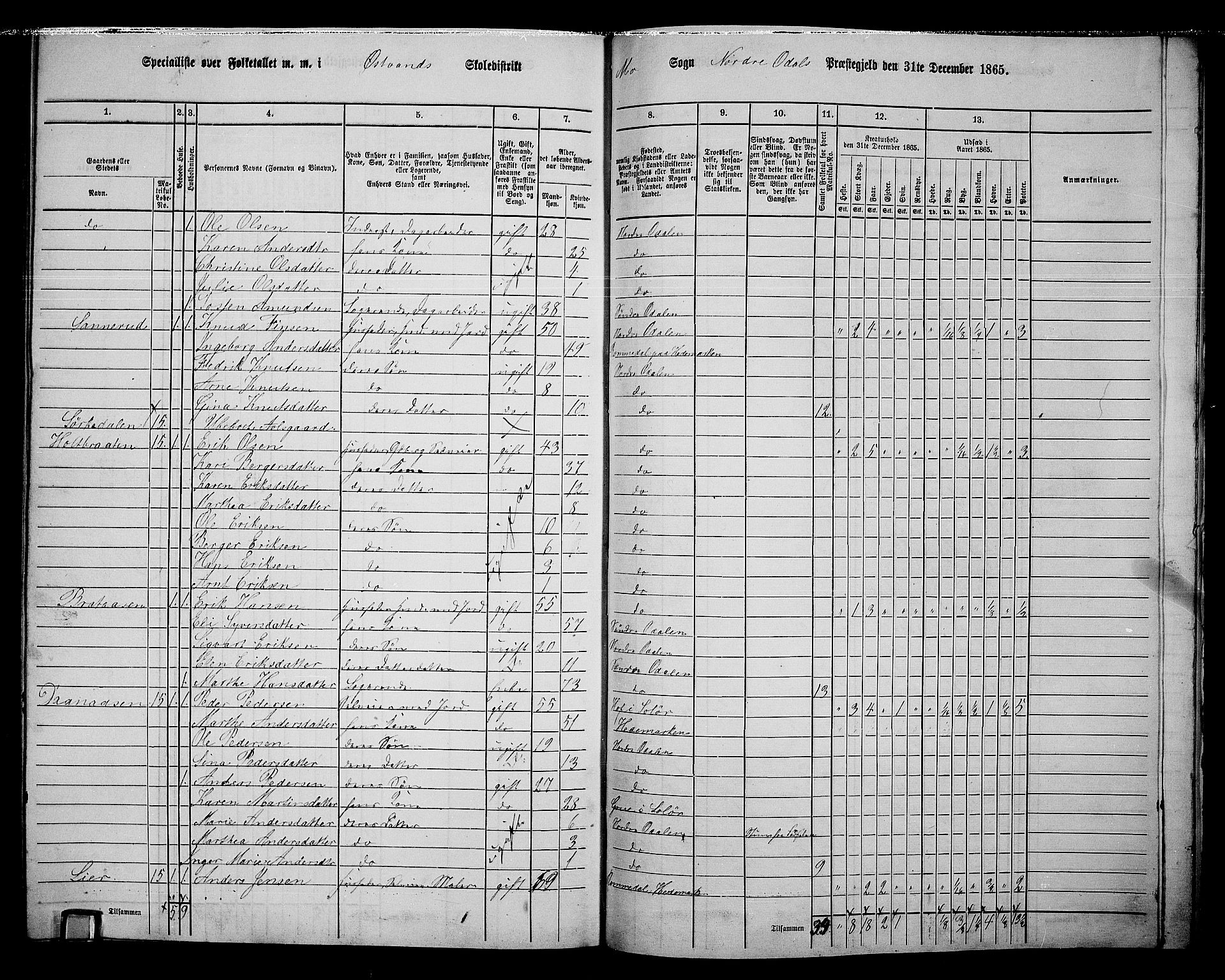 RA, 1865 census for Nord-Odal, 1865, p. 158