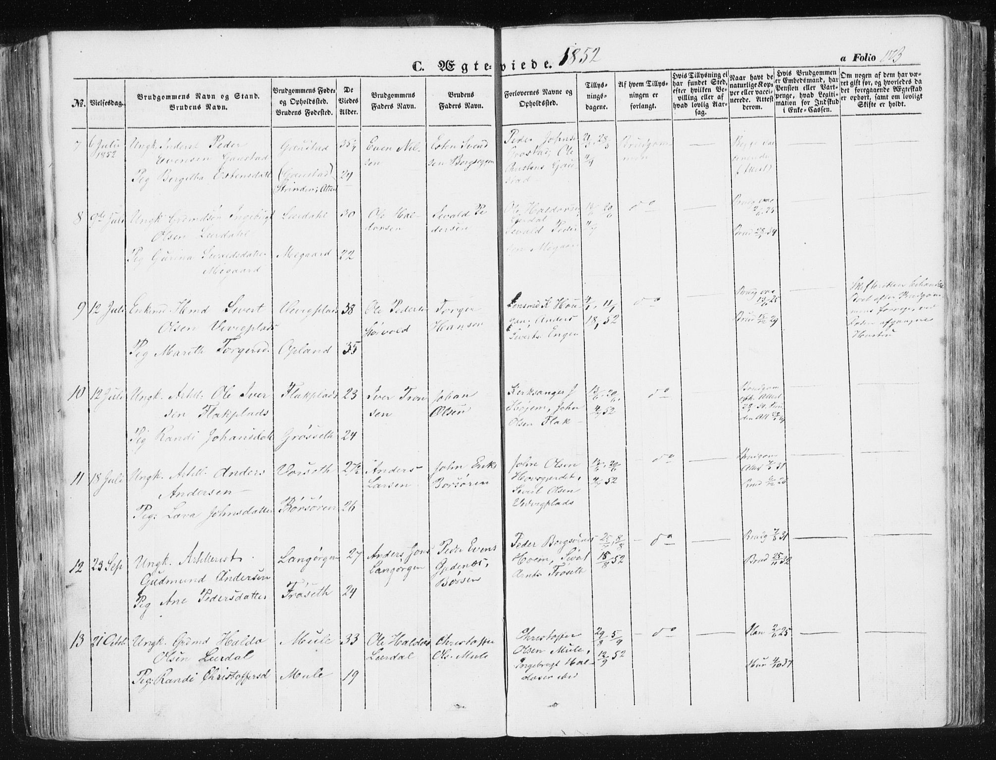 Ministerialprotokoller, klokkerbøker og fødselsregistre - Sør-Trøndelag, SAT/A-1456/612/L0376: Parish register (official) no. 612A08, 1846-1859, p. 173
