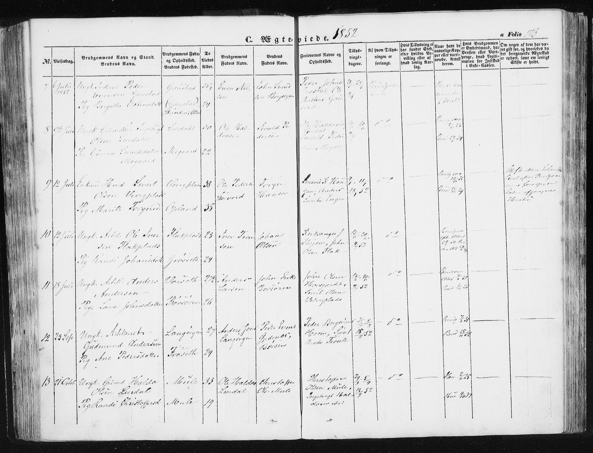 Ministerialprotokoller, klokkerbøker og fødselsregistre - Sør-Trøndelag, AV/SAT-A-1456/612/L0376: Parish register (official) no. 612A08, 1846-1859, p. 173