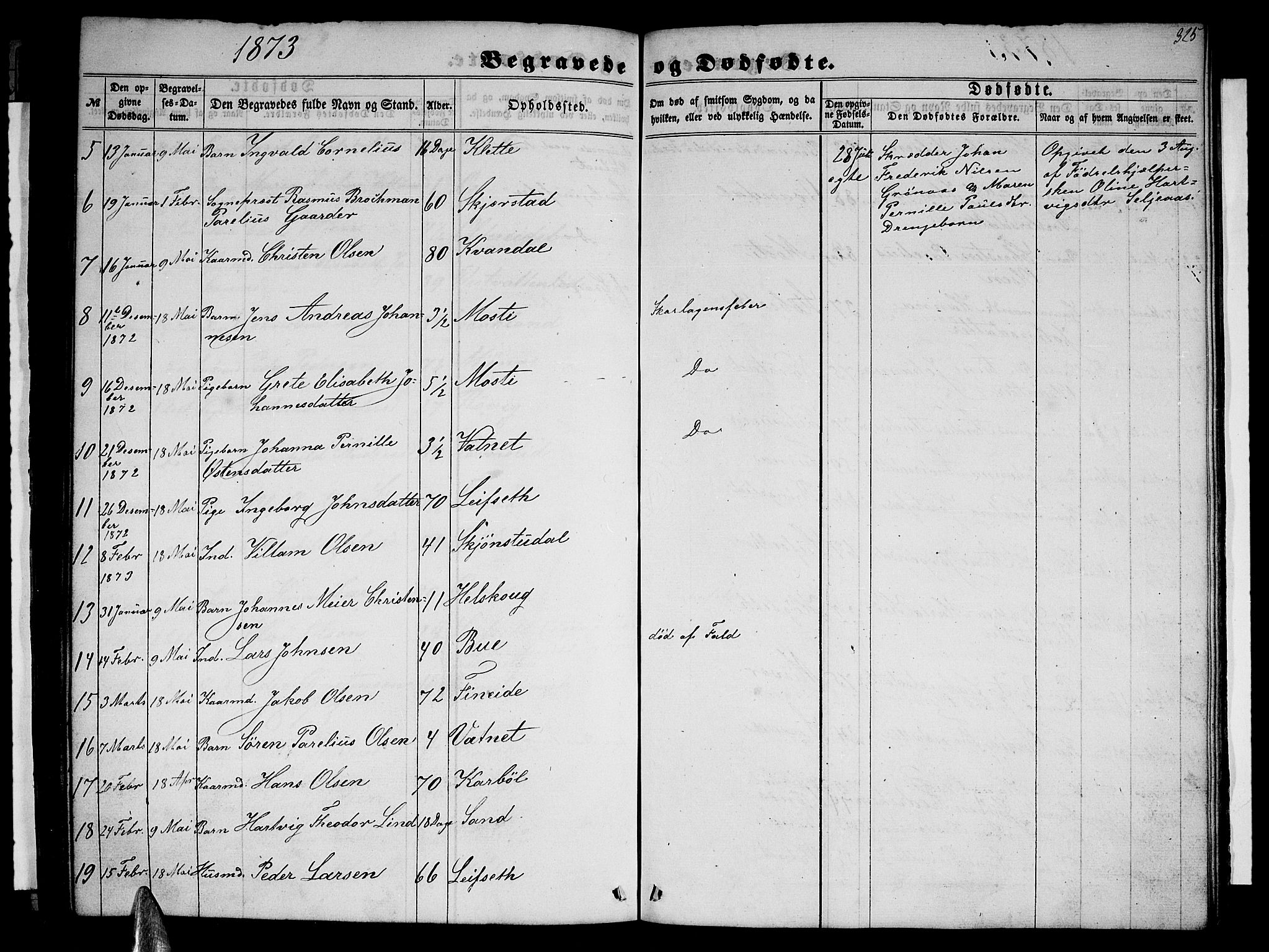 Ministerialprotokoller, klokkerbøker og fødselsregistre - Nordland, AV/SAT-A-1459/852/L0753: Parish register (copy) no. 852C04, 1856-1877, p. 325