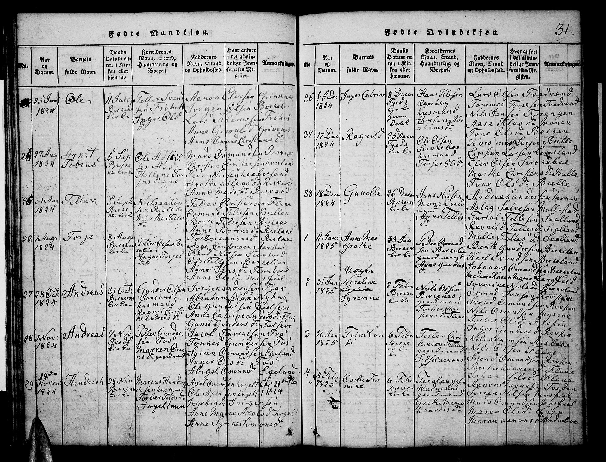 Tveit sokneprestkontor, AV/SAK-1111-0043/F/Fb/L0001: Parish register (copy) no. B 1, 1820-1834, p. 31