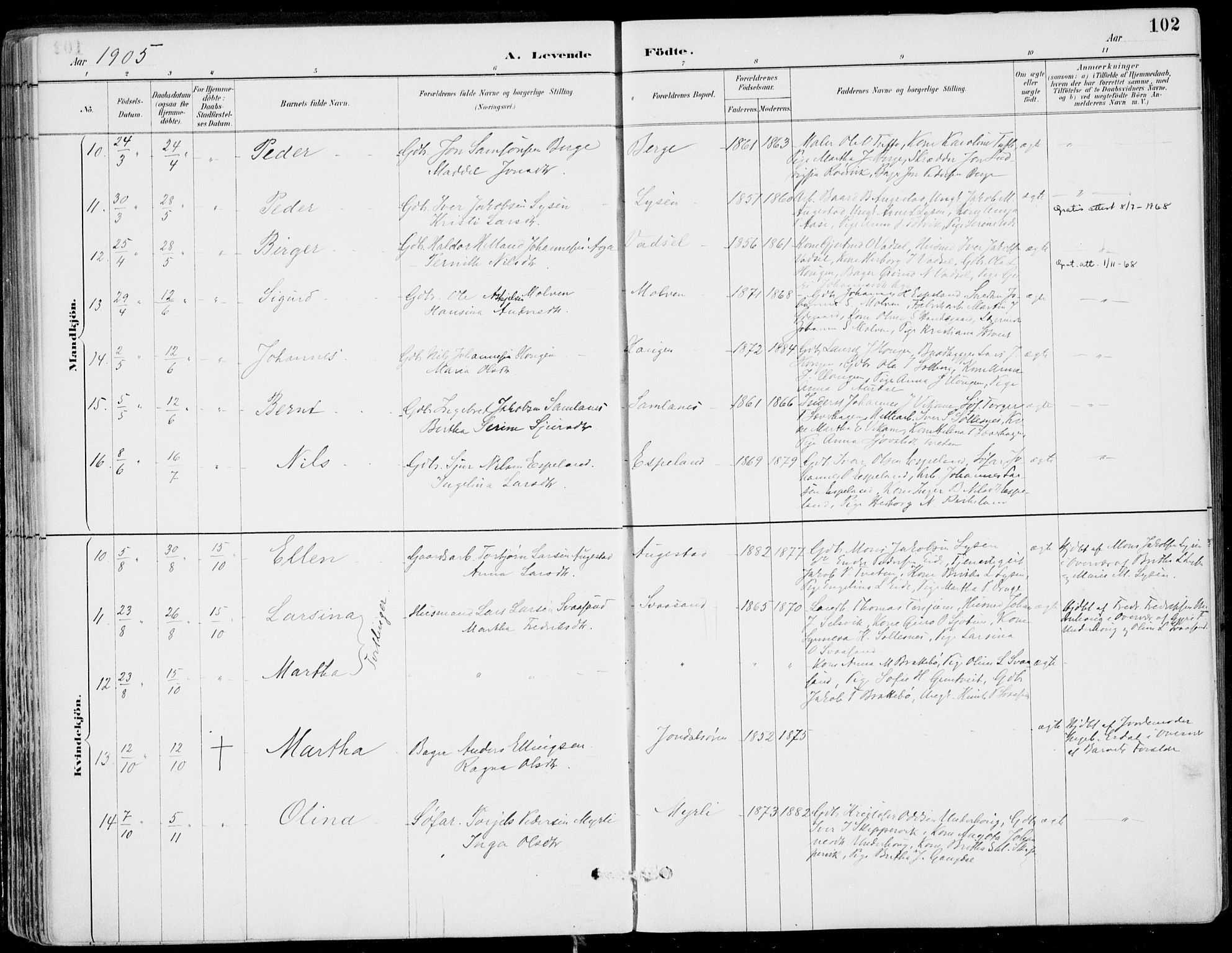 Strandebarm sokneprestembete, AV/SAB-A-78401/H/Haa: Parish register (official) no. E  1, 1886-1908, p. 102