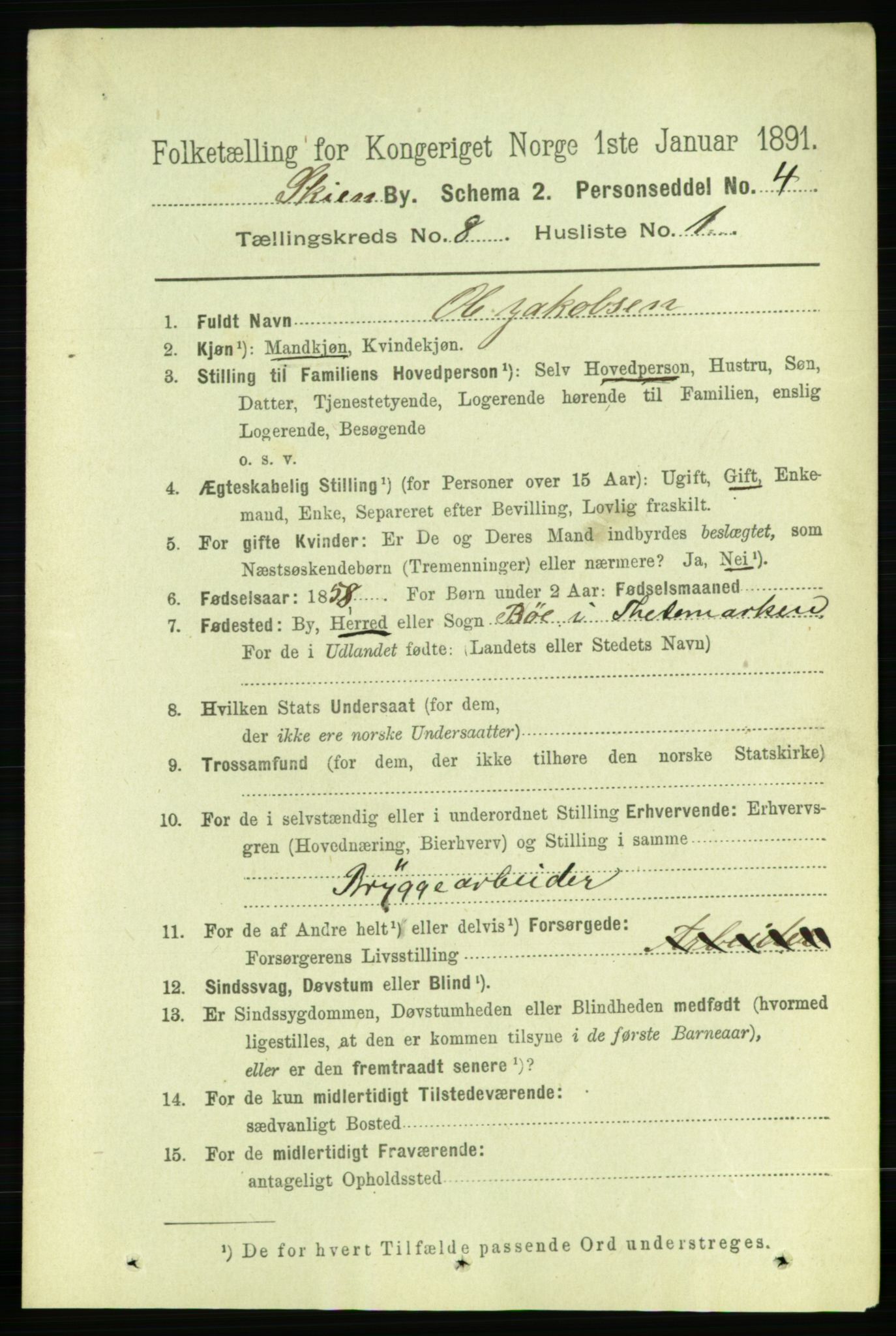 RA, 1891 census for 0806 Skien, 1891, p. 3271